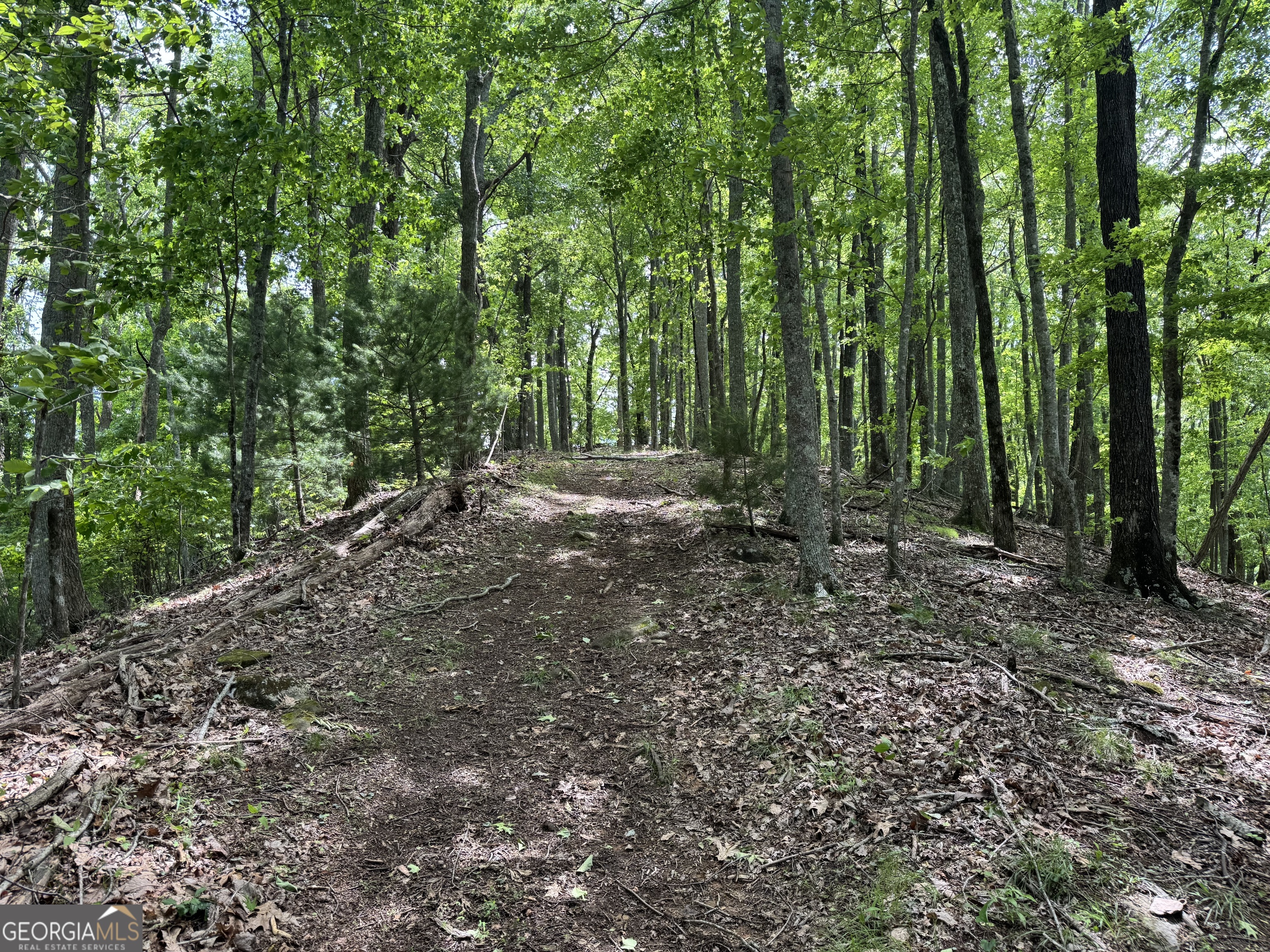 0 Royal Oaks Trail Young Harris GA 30582