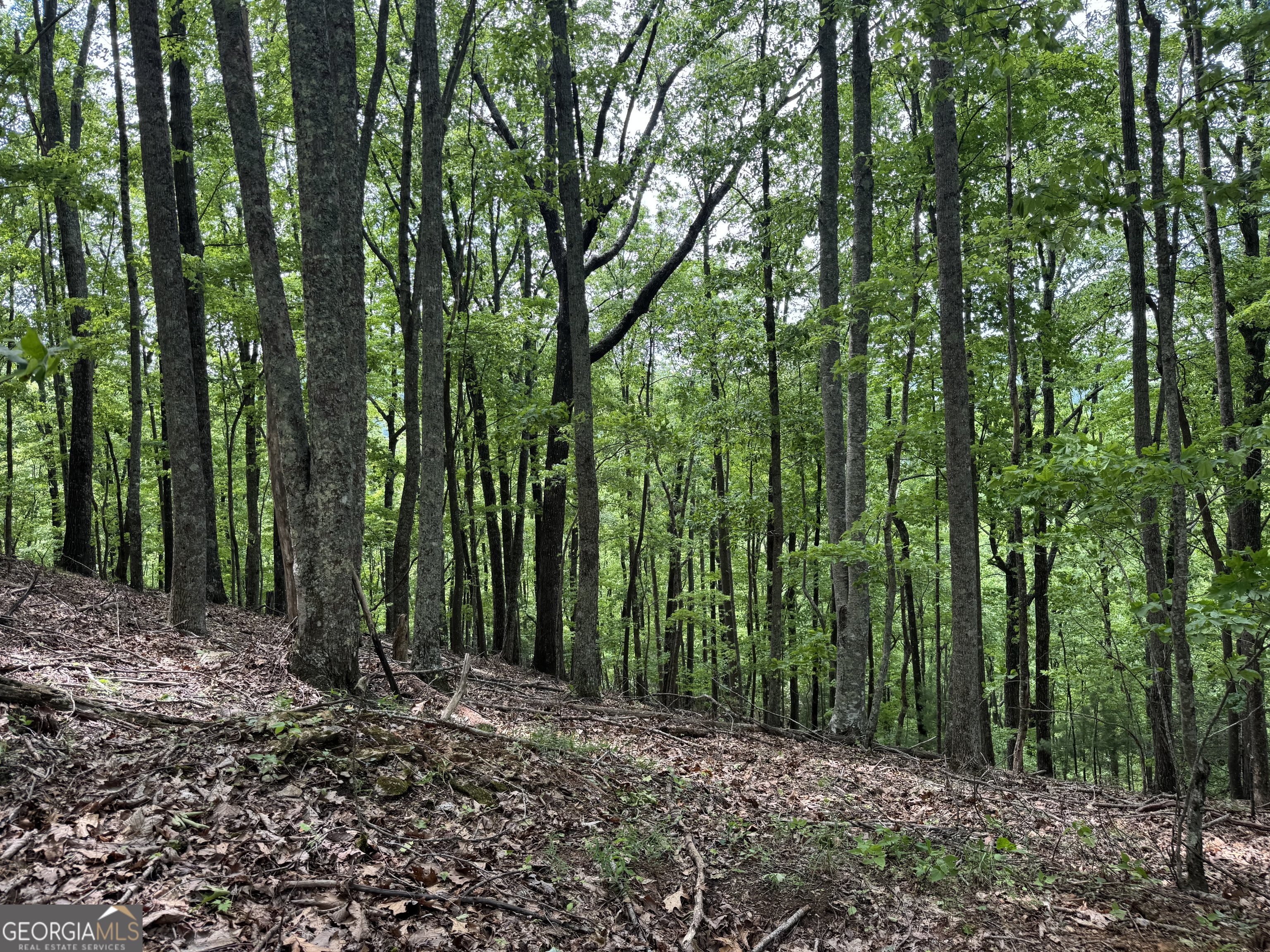 0 Royal Oaks Trail Young Harris GA 30582