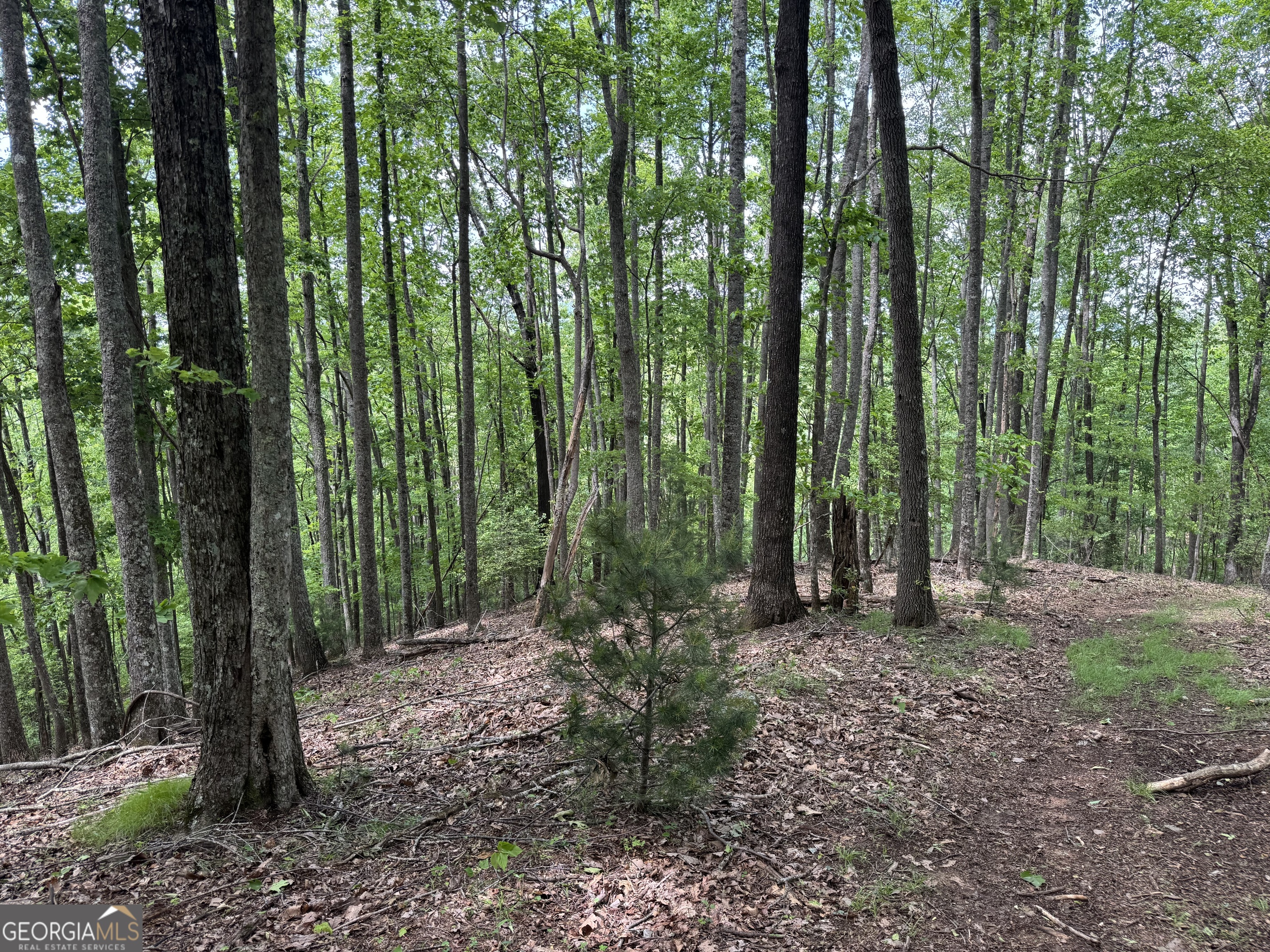 0 Royal Oaks Trail Young Harris GA 30582