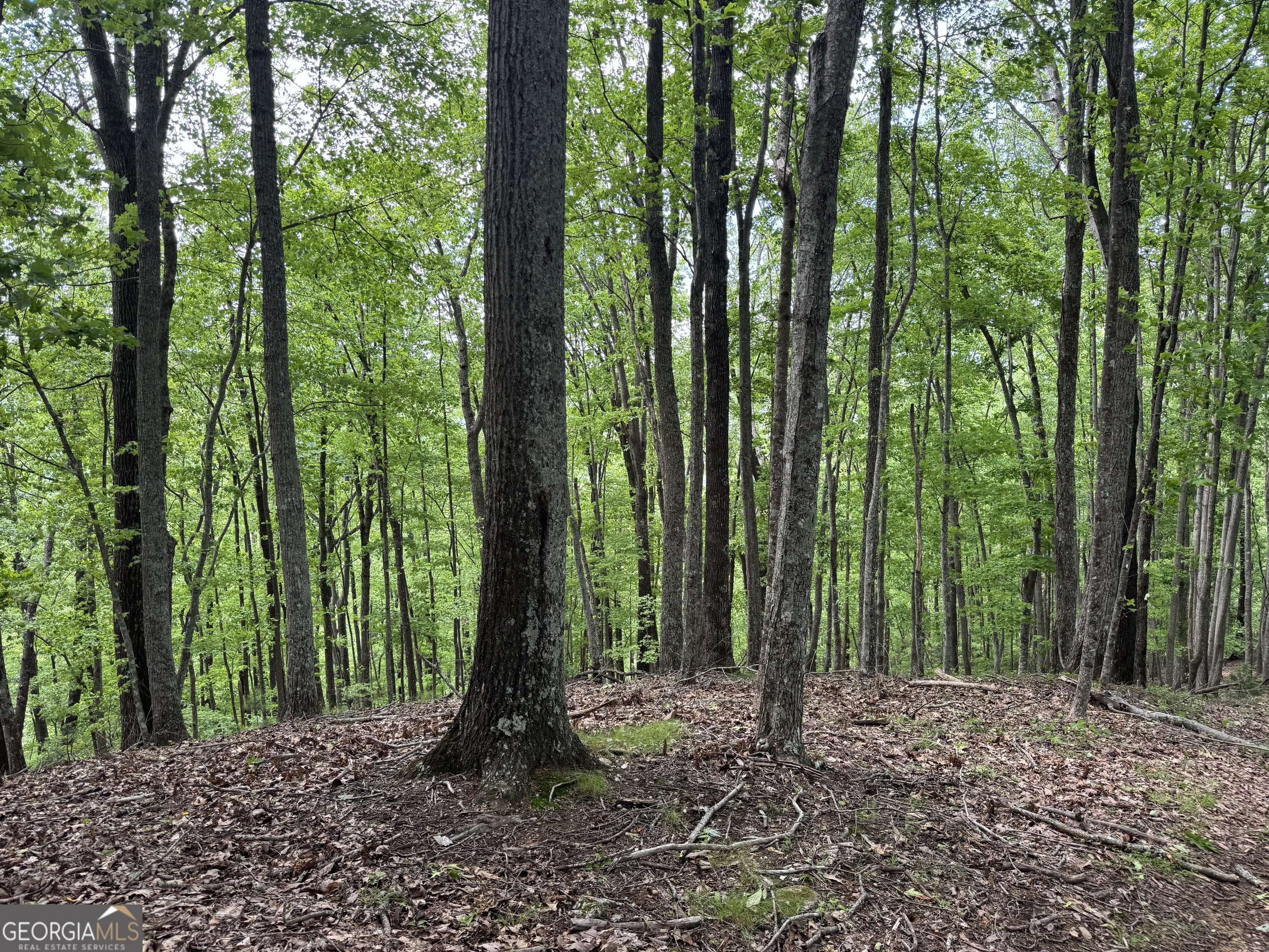 0 Royal Oaks Trail Young Harris GA 30582
