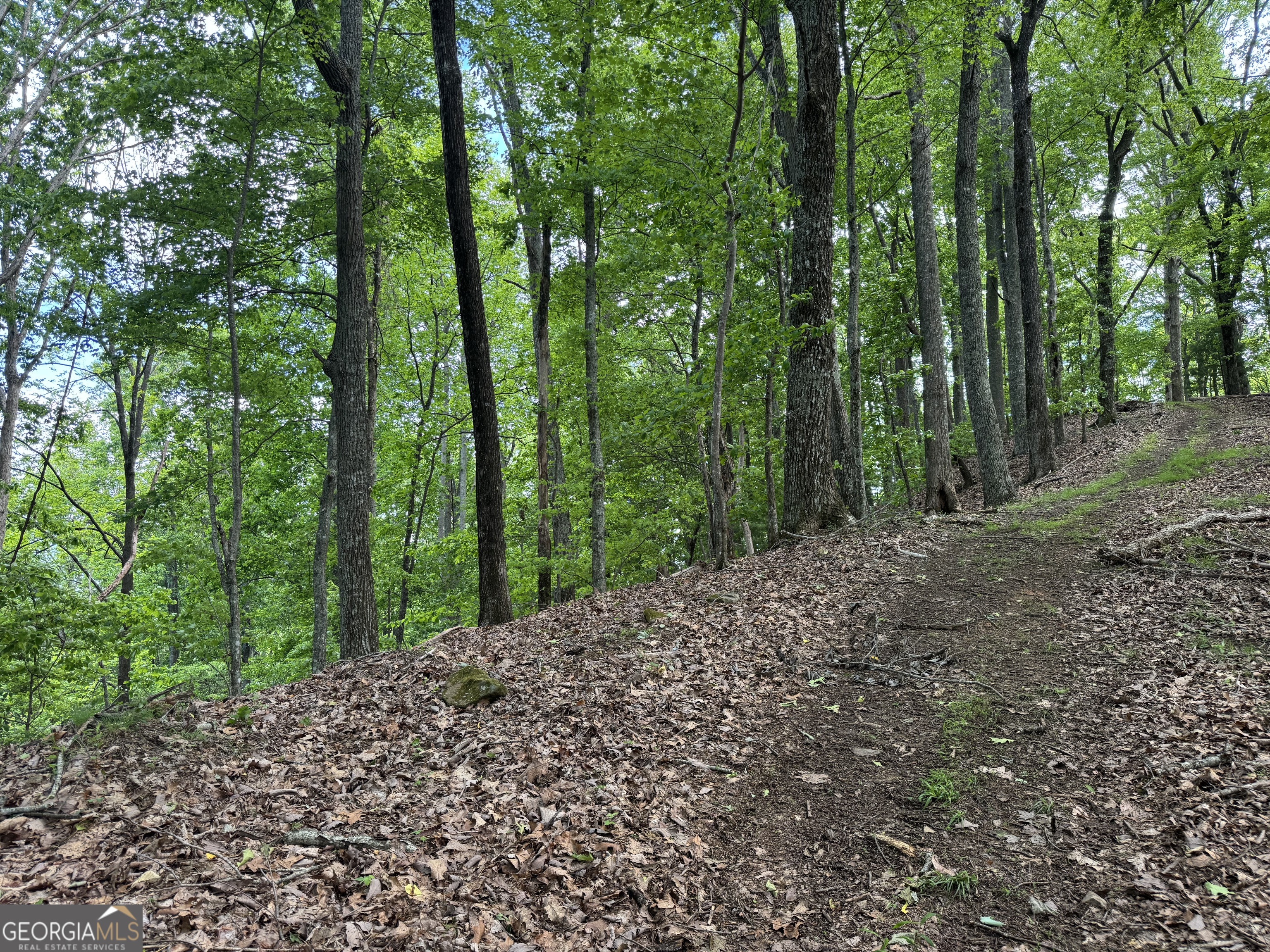 0 Royal Oaks Trail Young Harris GA 30582