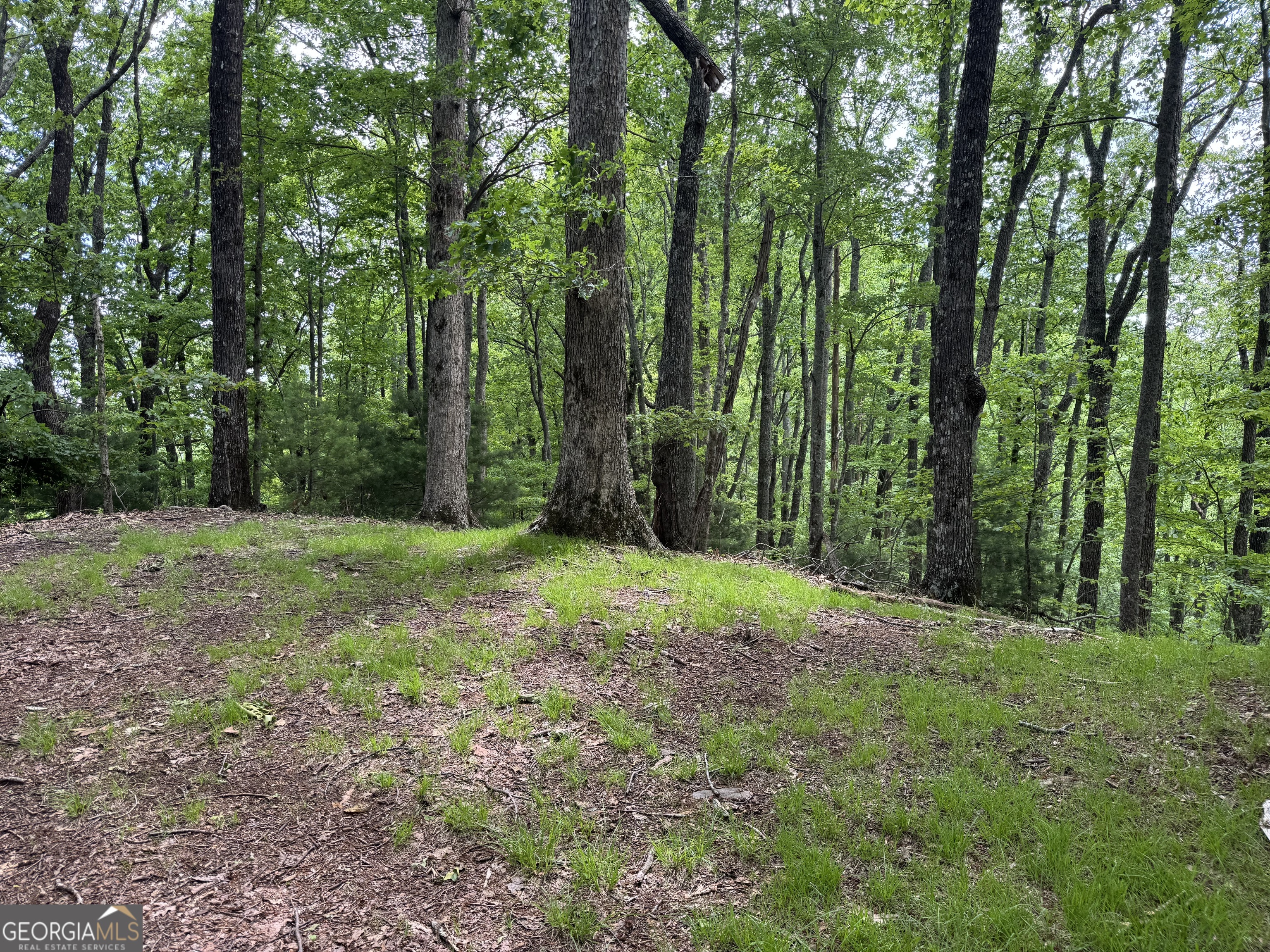 0 Royal Oaks Trail Young Harris GA 30582