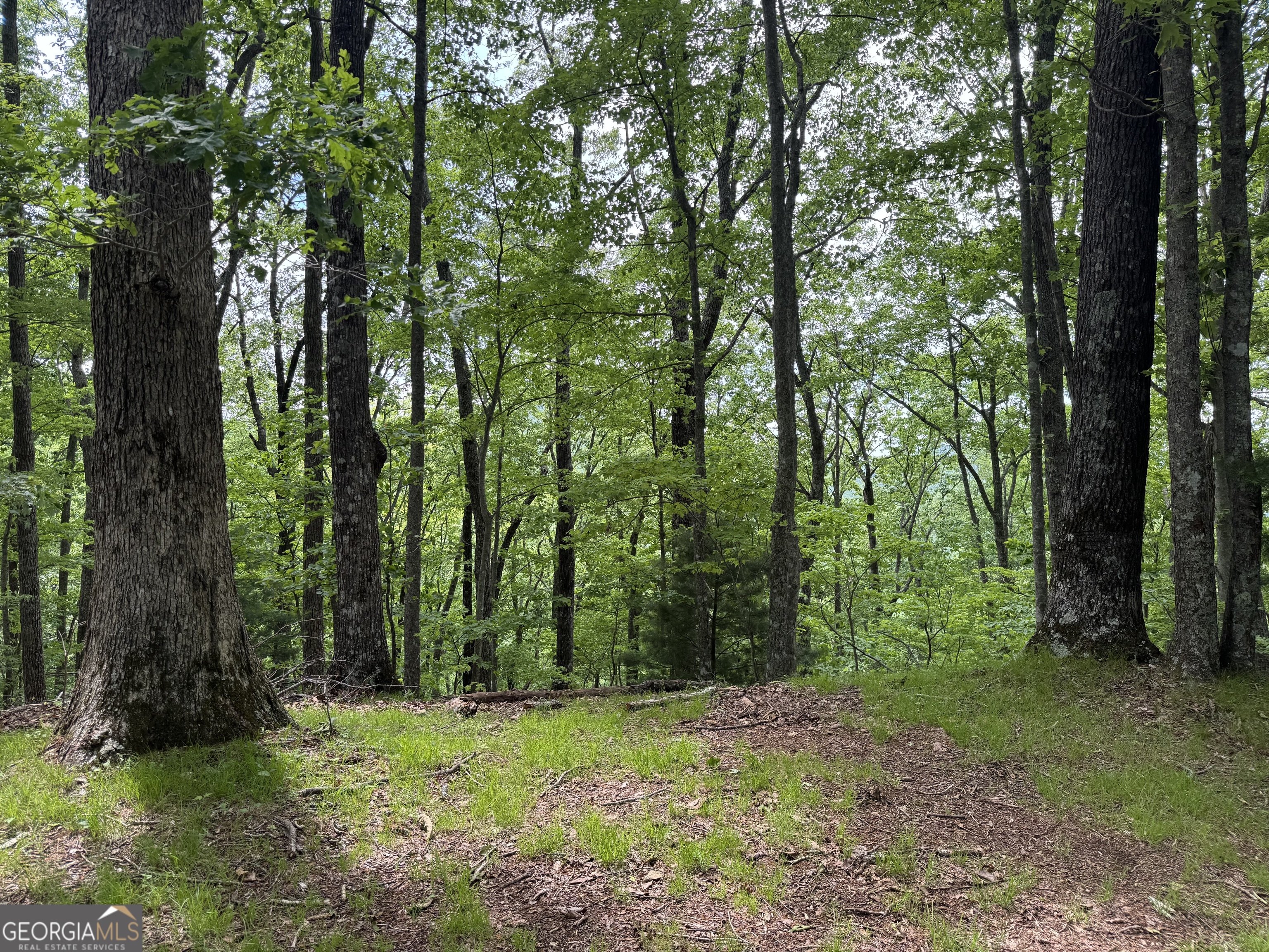 0 Royal Oaks Trail Young Harris GA 30582