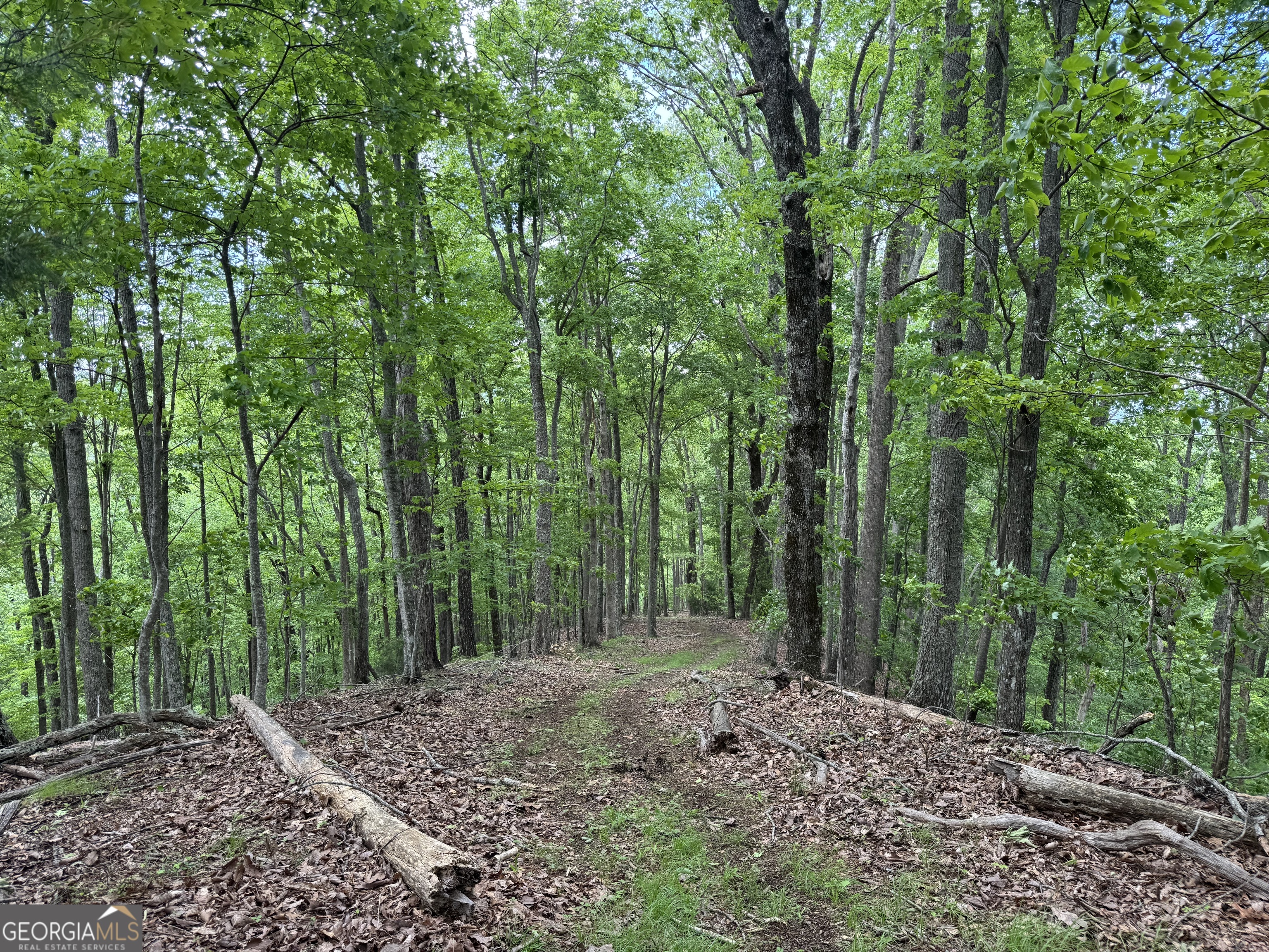 0 Royal Oaks Trail Young Harris GA 30582