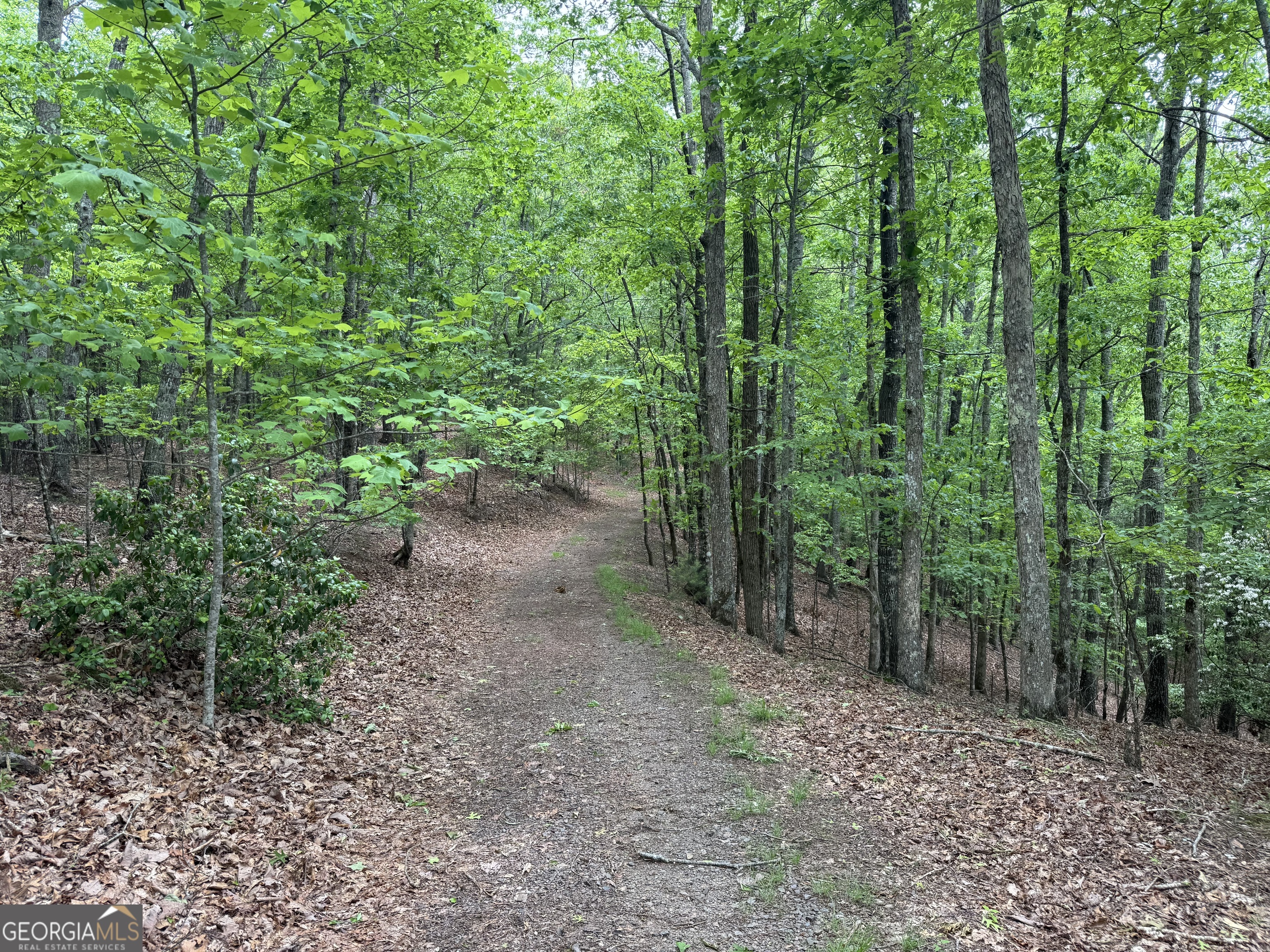 0 Royal Oaks Trail Young Harris GA 30582