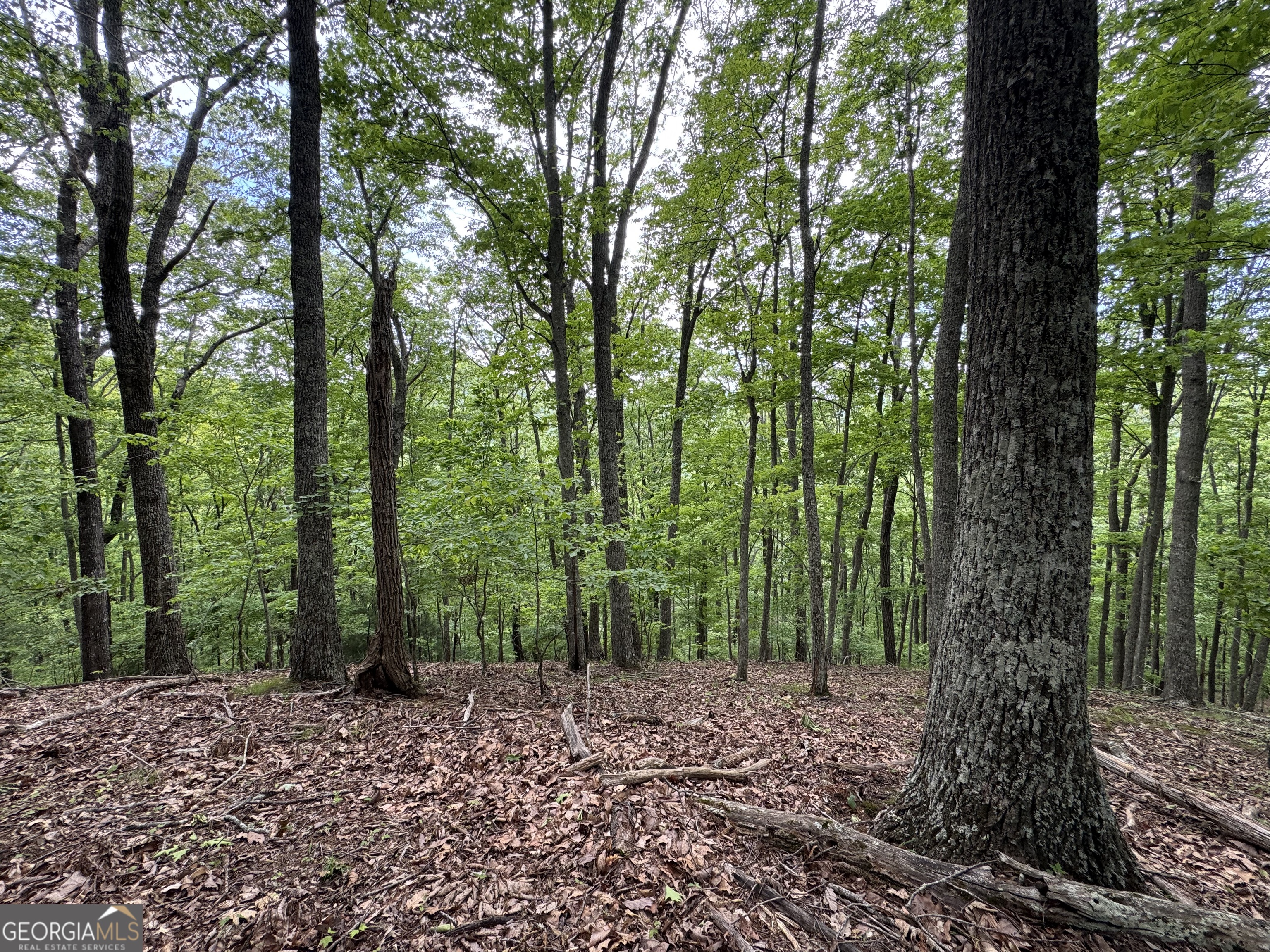 0 Royal Oaks Trail Young Harris GA 30582