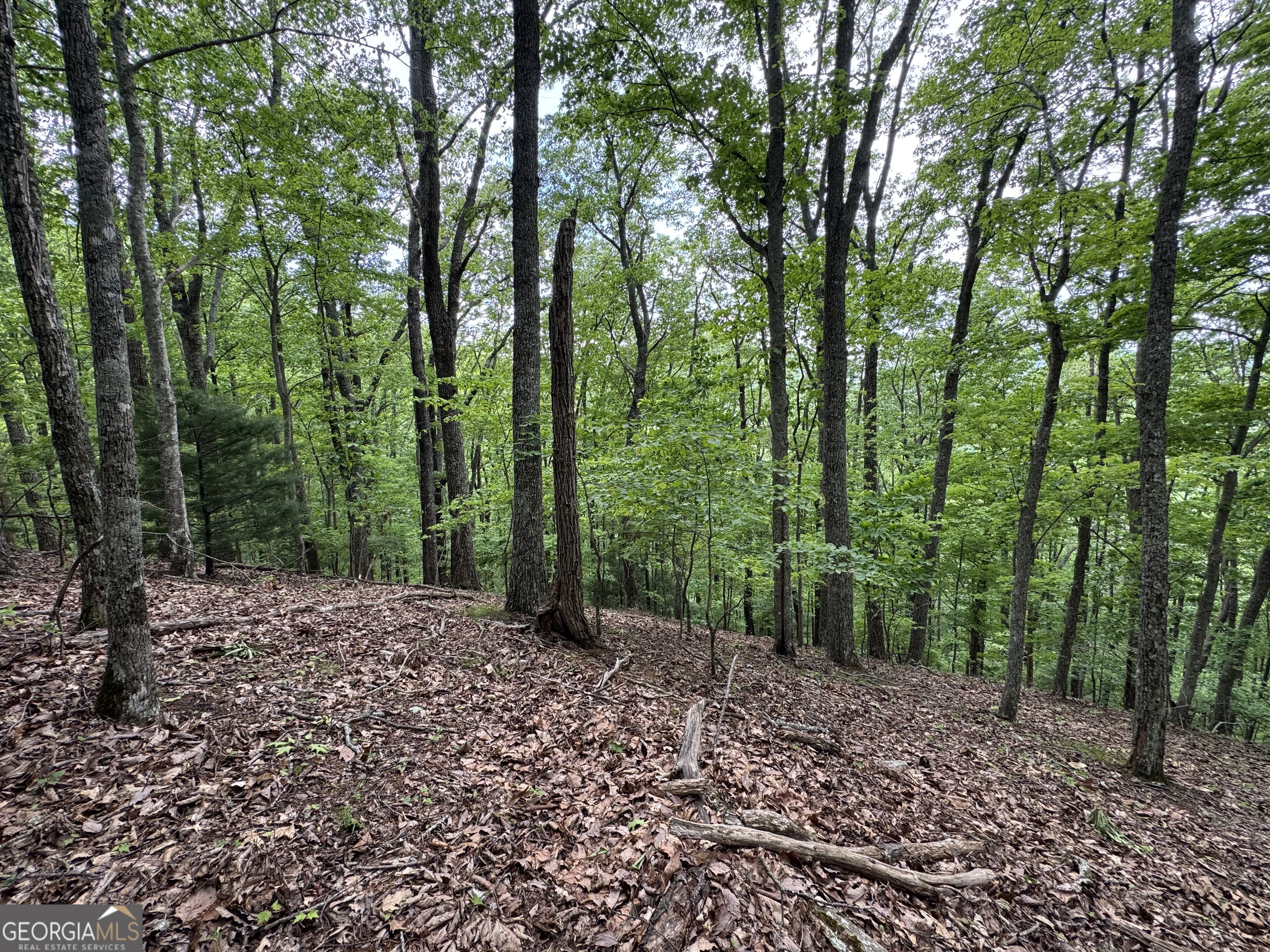 0 Royal Oaks Trail Young Harris GA 30582