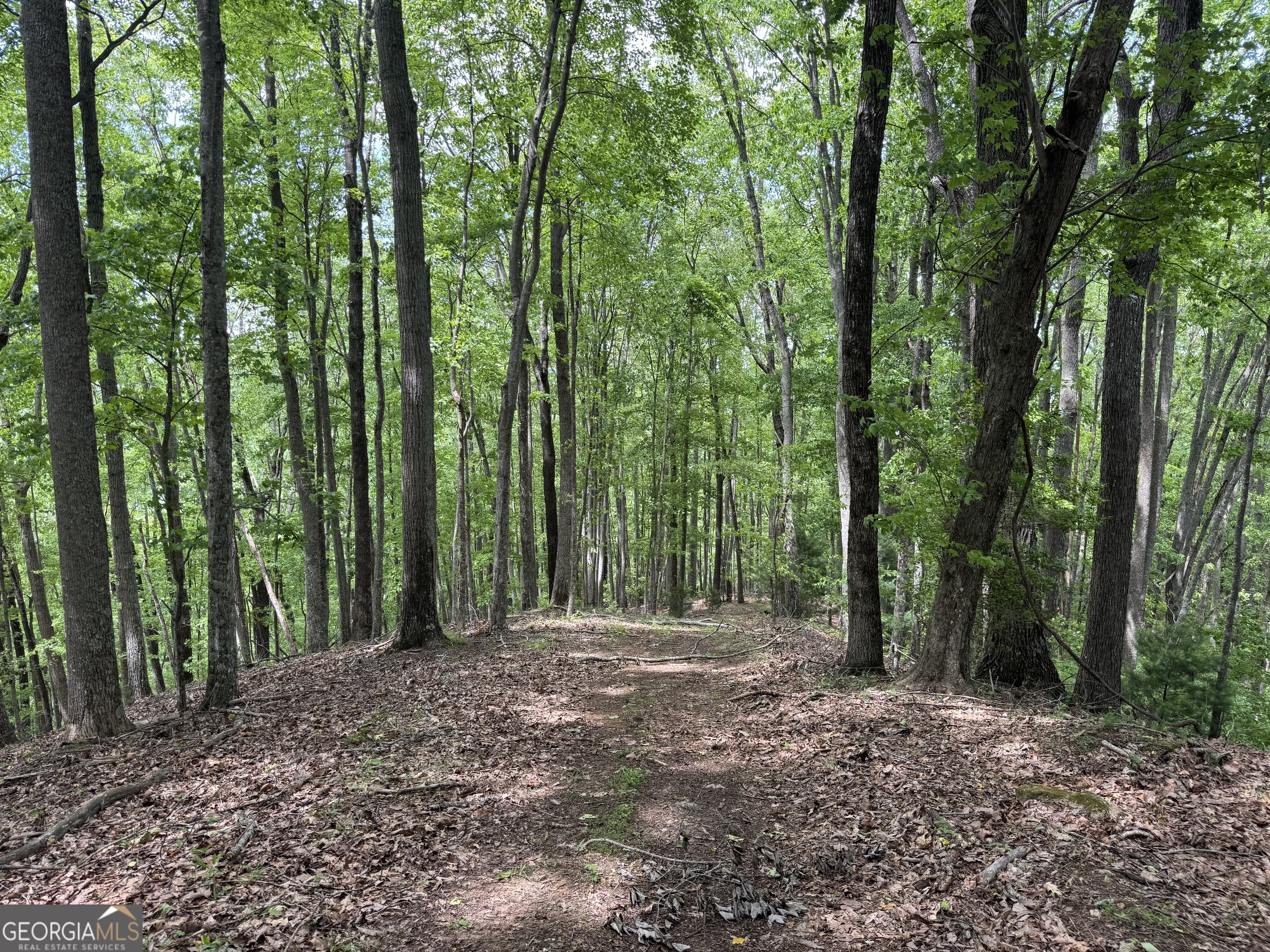 0 Royal Oaks Trail Young Harris GA 30582