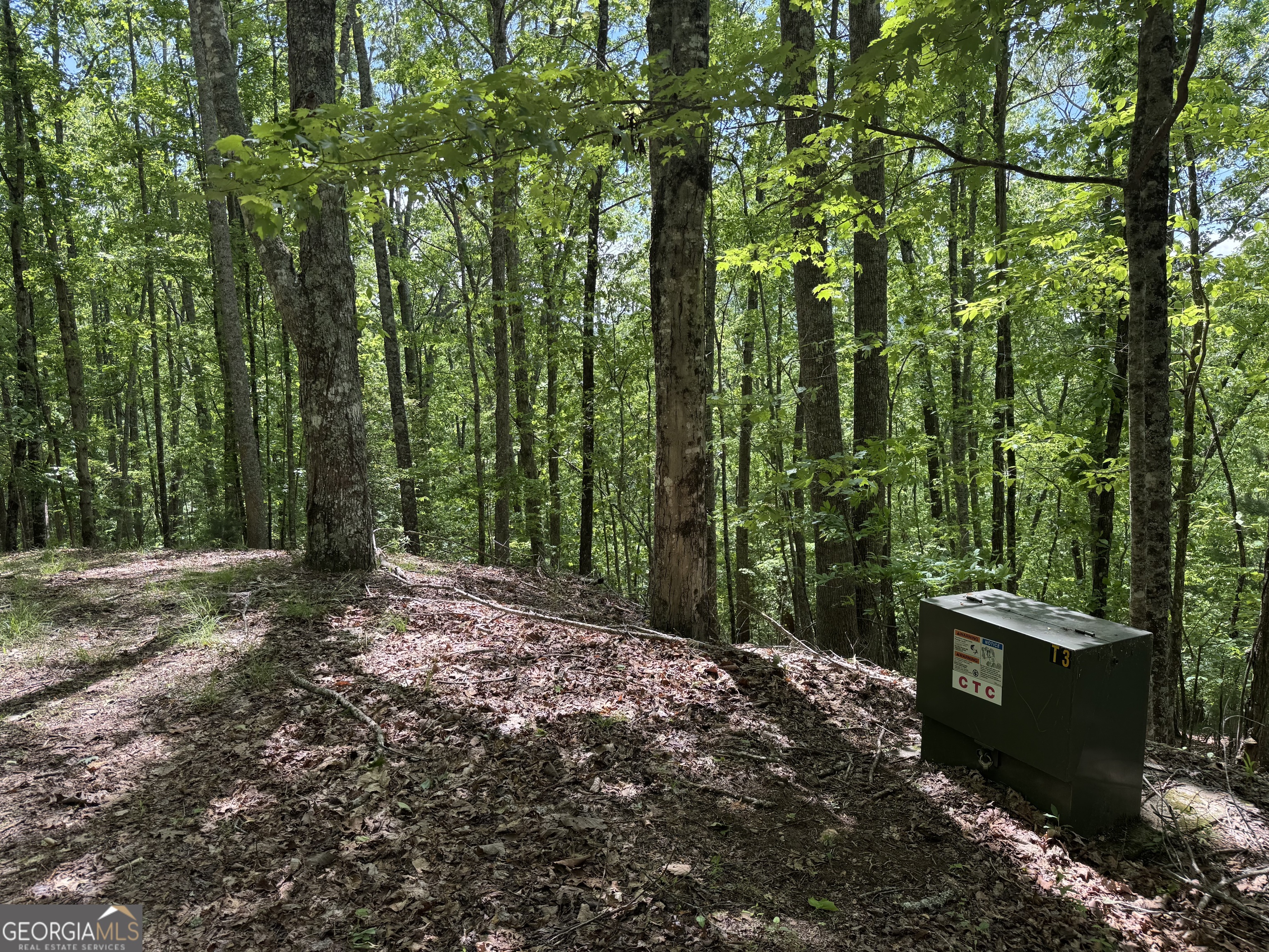 0 Royal Oaks Trail Young Harris GA 30582