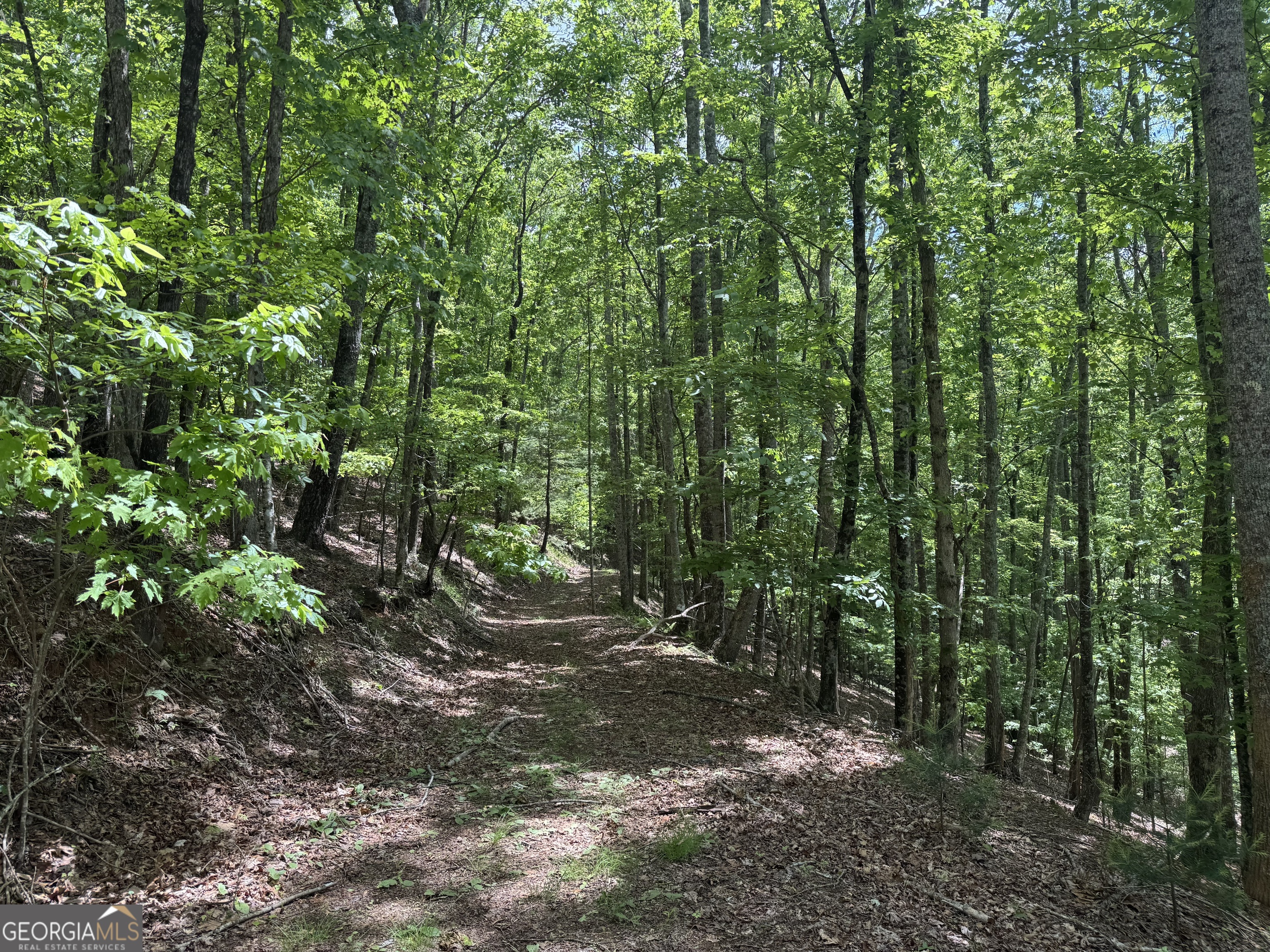 0 Royal Oaks Trail Young Harris GA 30582