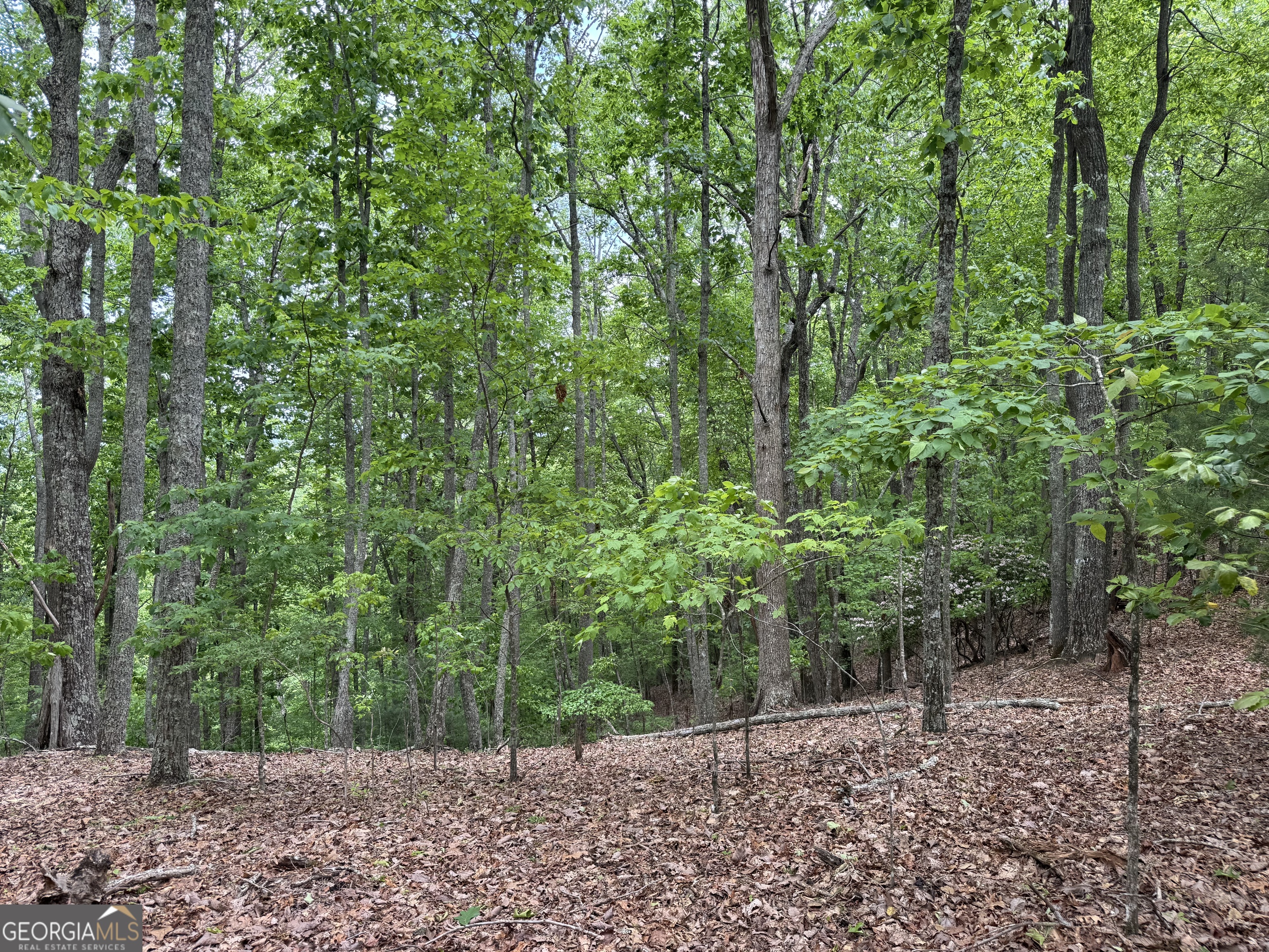 0 Royal Oaks Trail Young Harris GA 30582