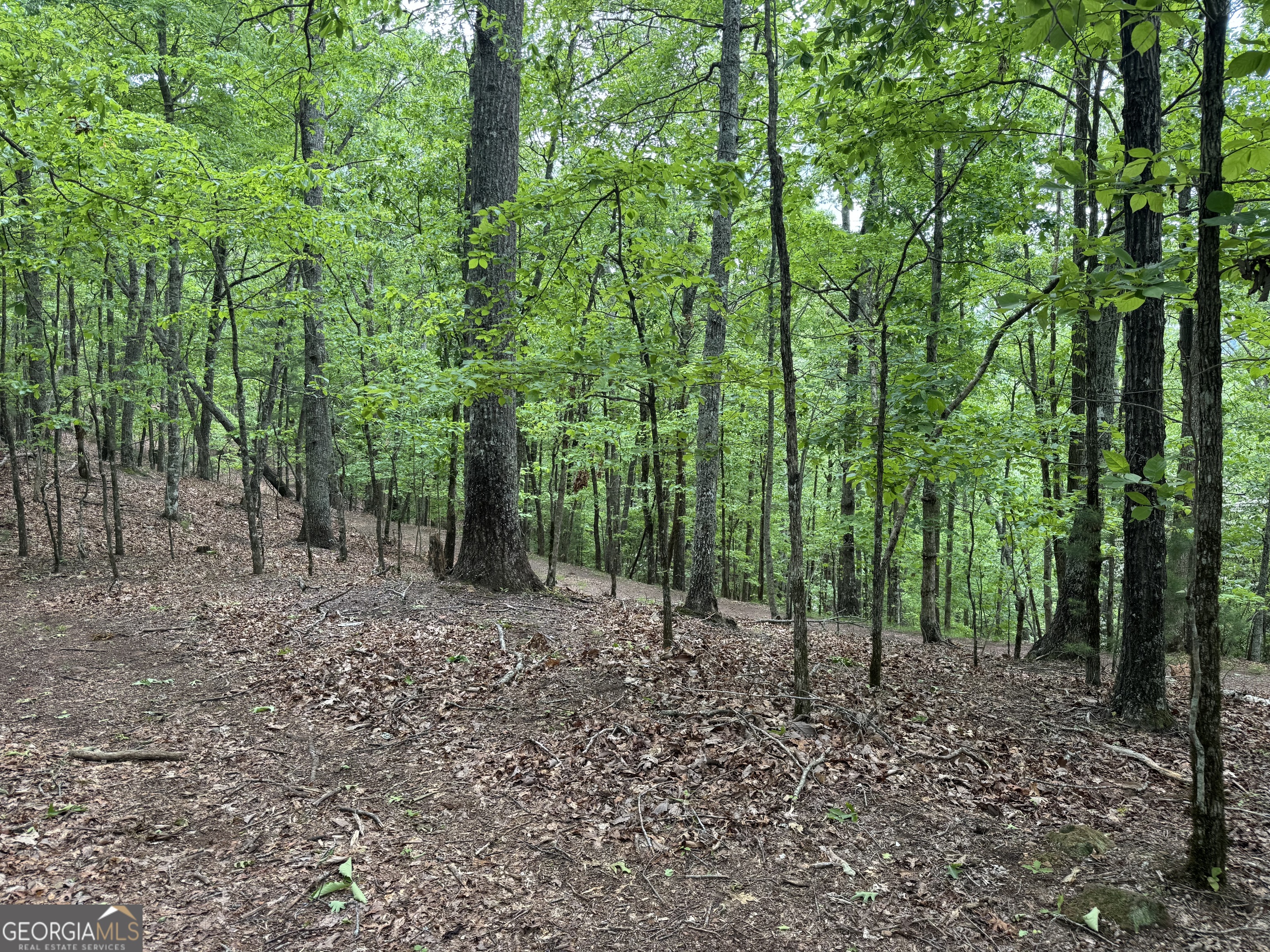 0 Royal Oaks Trail Young Harris GA 30582