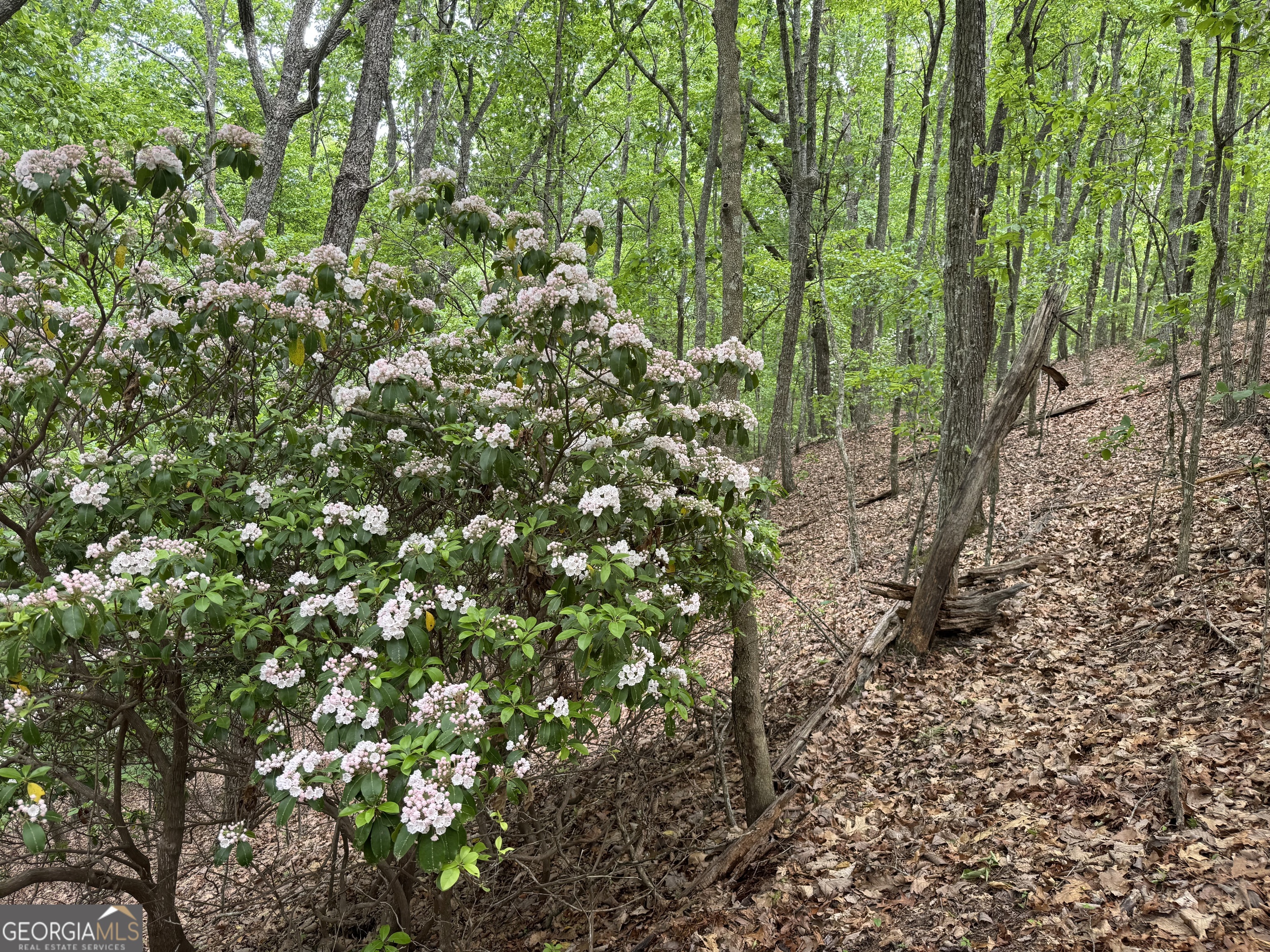 0 Royal Oaks Trail Young Harris GA 30582
