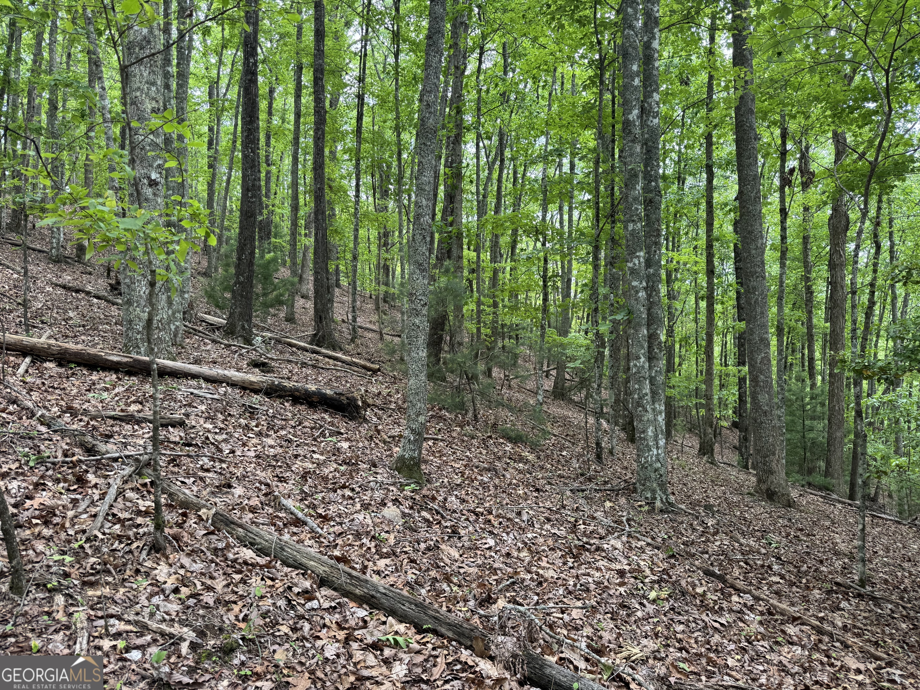 0 Royal Oaks Trail Young Harris GA 30582