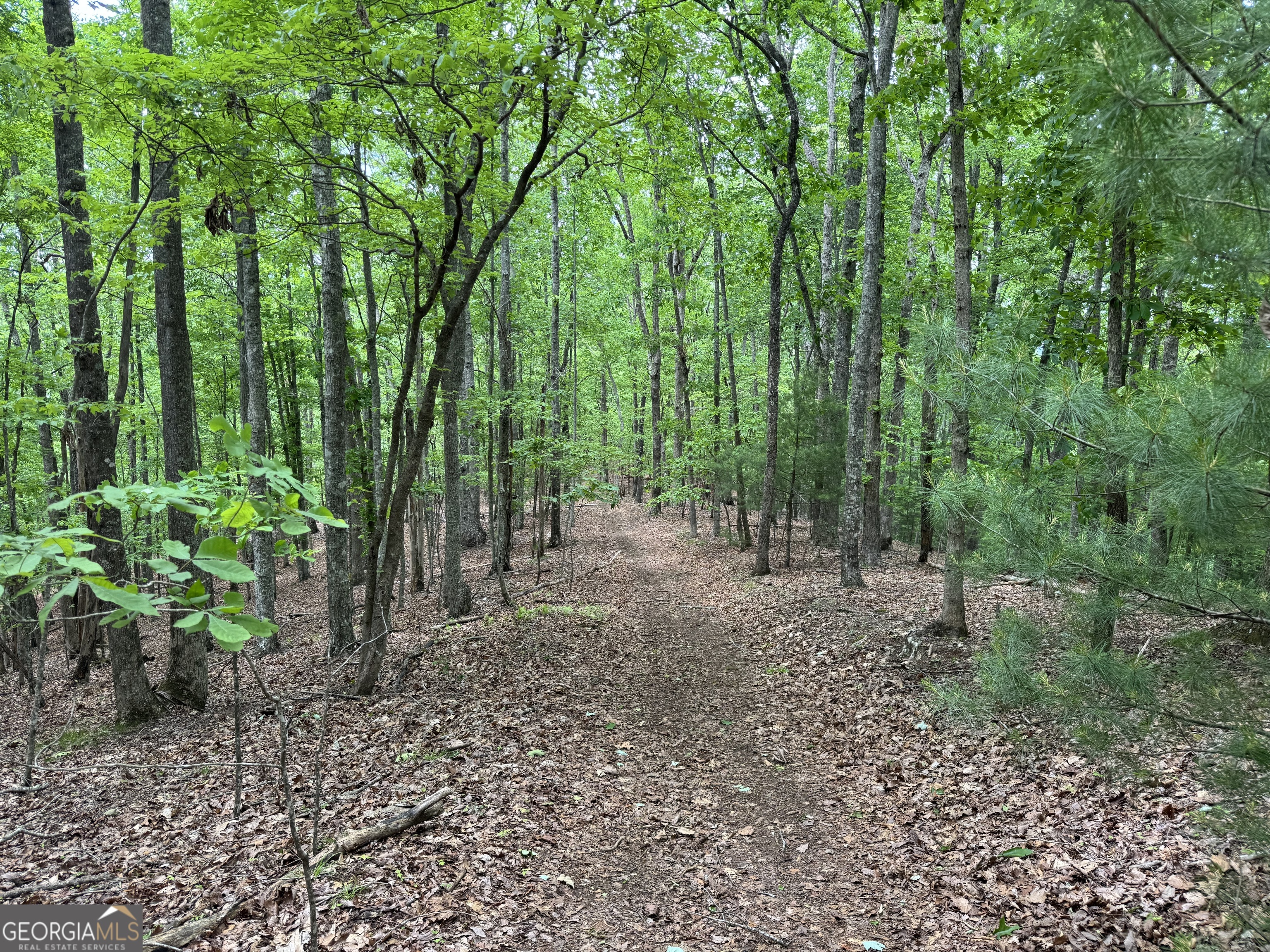 0 Royal Oaks Trail Young Harris GA 30582