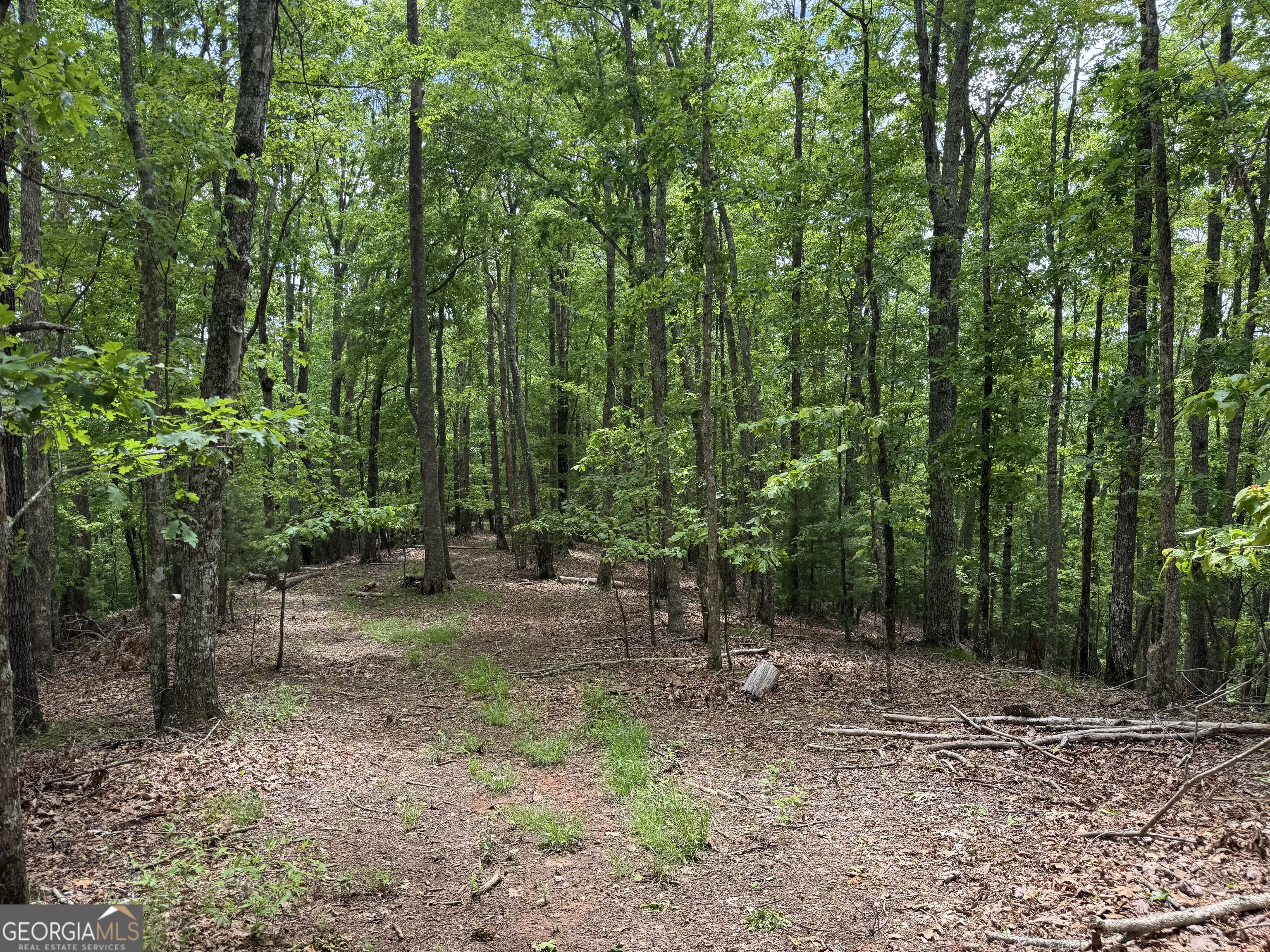 0 Royal Oaks Trail Young Harris GA 30582