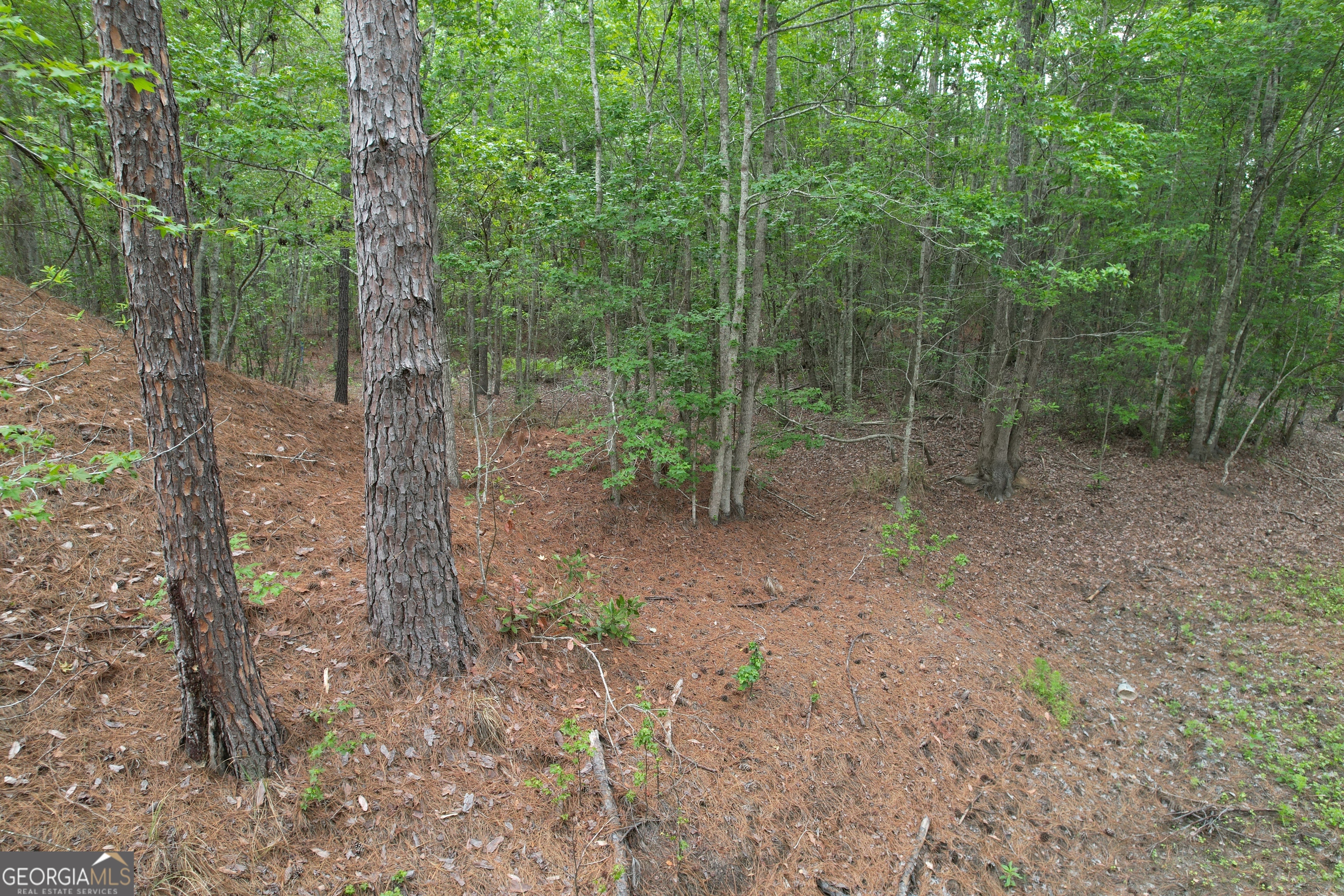 1.52 Acres Mt Pleasant Road Clyo GA 31303