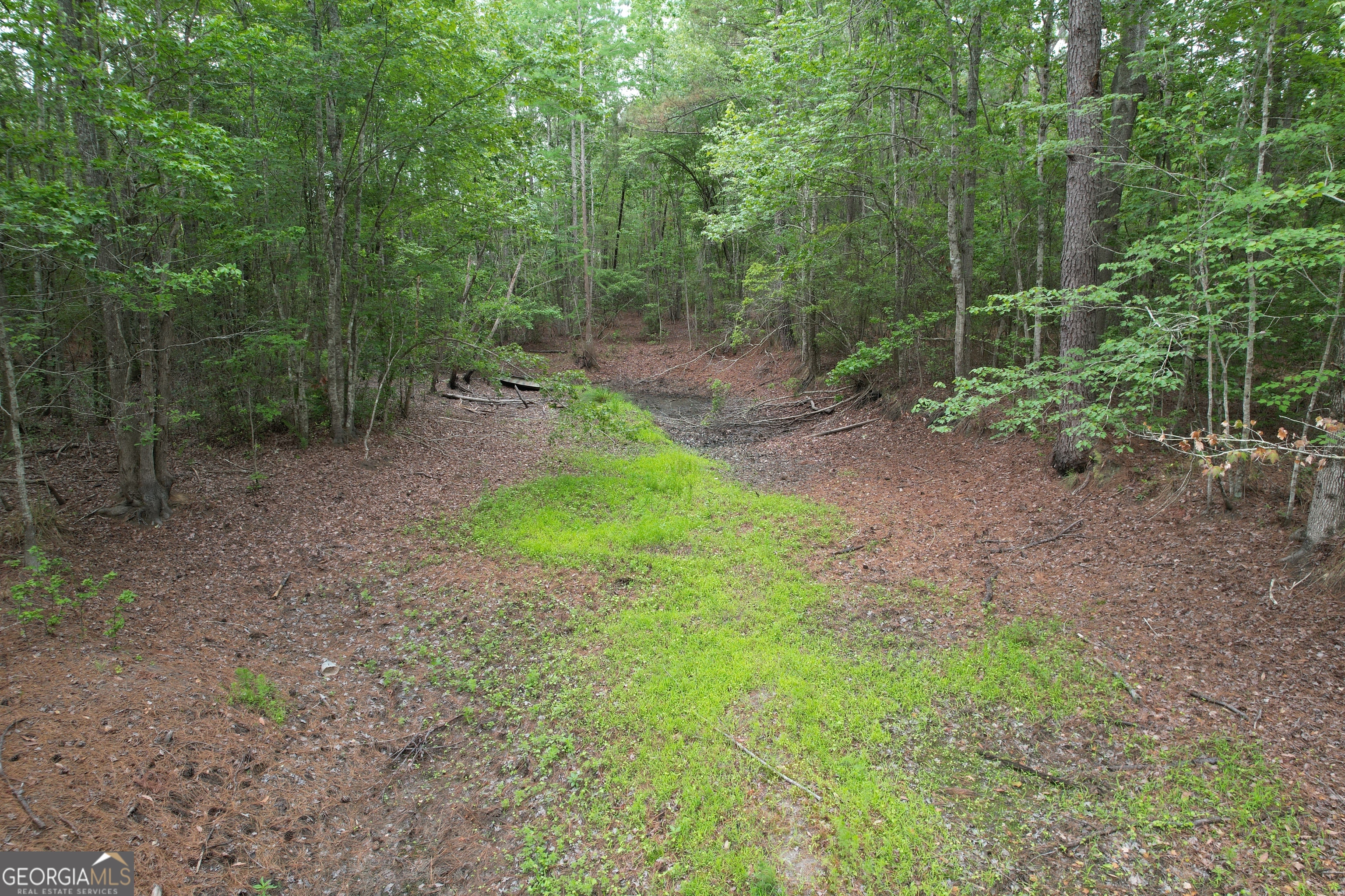 1.52 Acres Mt Pleasant Road Clyo GA 31303