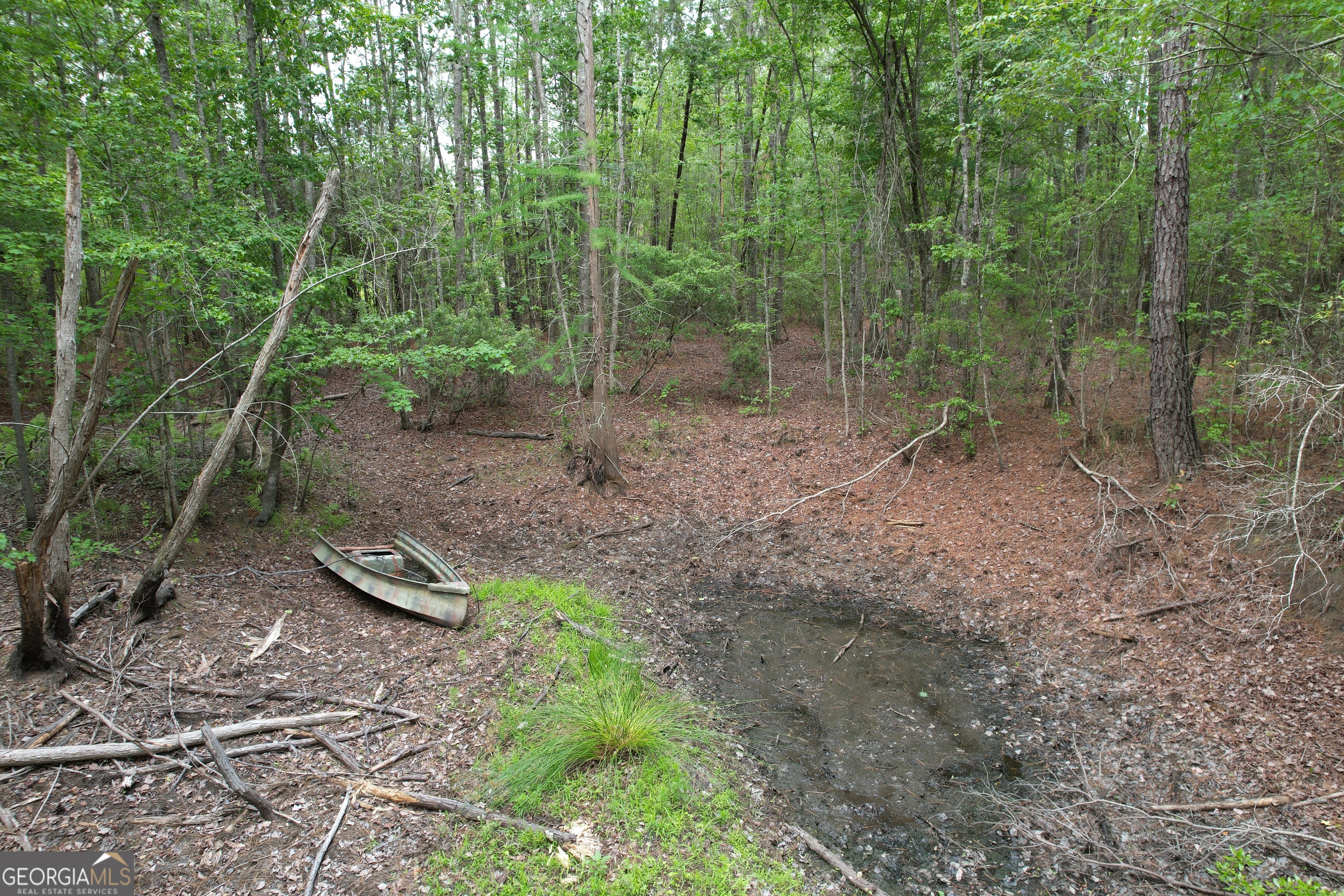 1.52 Acres Mt Pleasant Road Clyo GA 31303