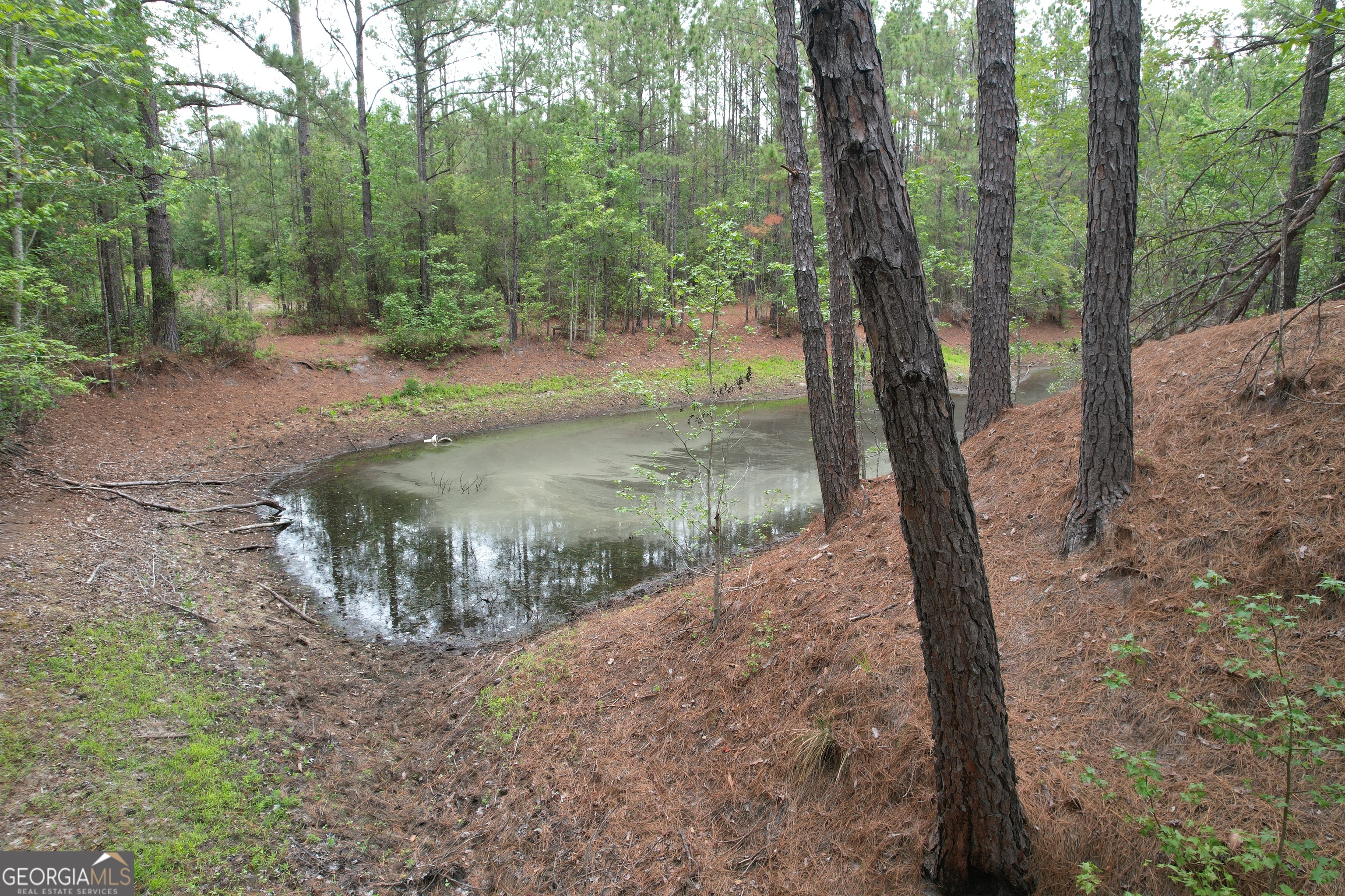 1.52 Acres Mt Pleasant Road Clyo GA 31303