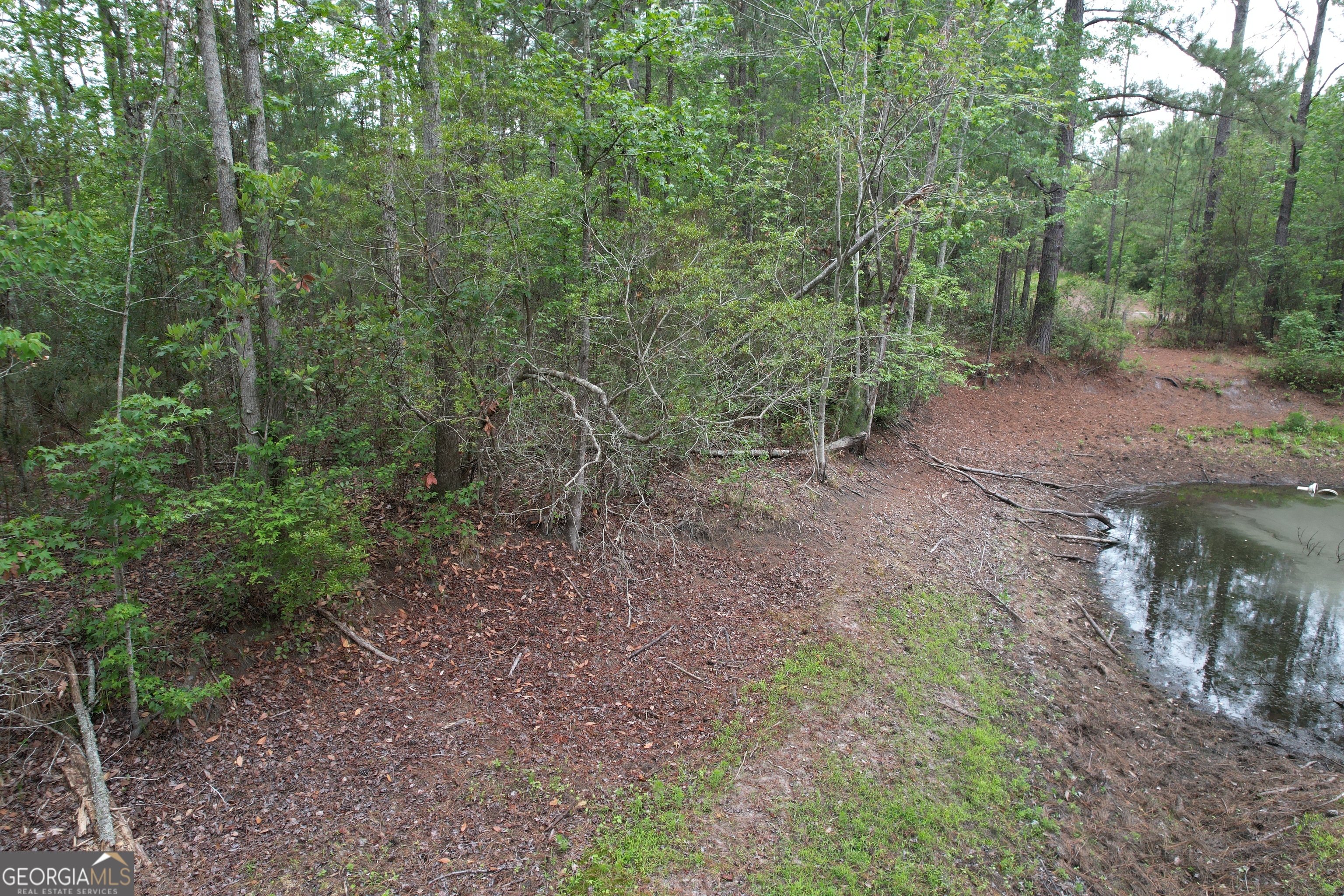 1.52 Acres Mt Pleasant Road Clyo GA 31303