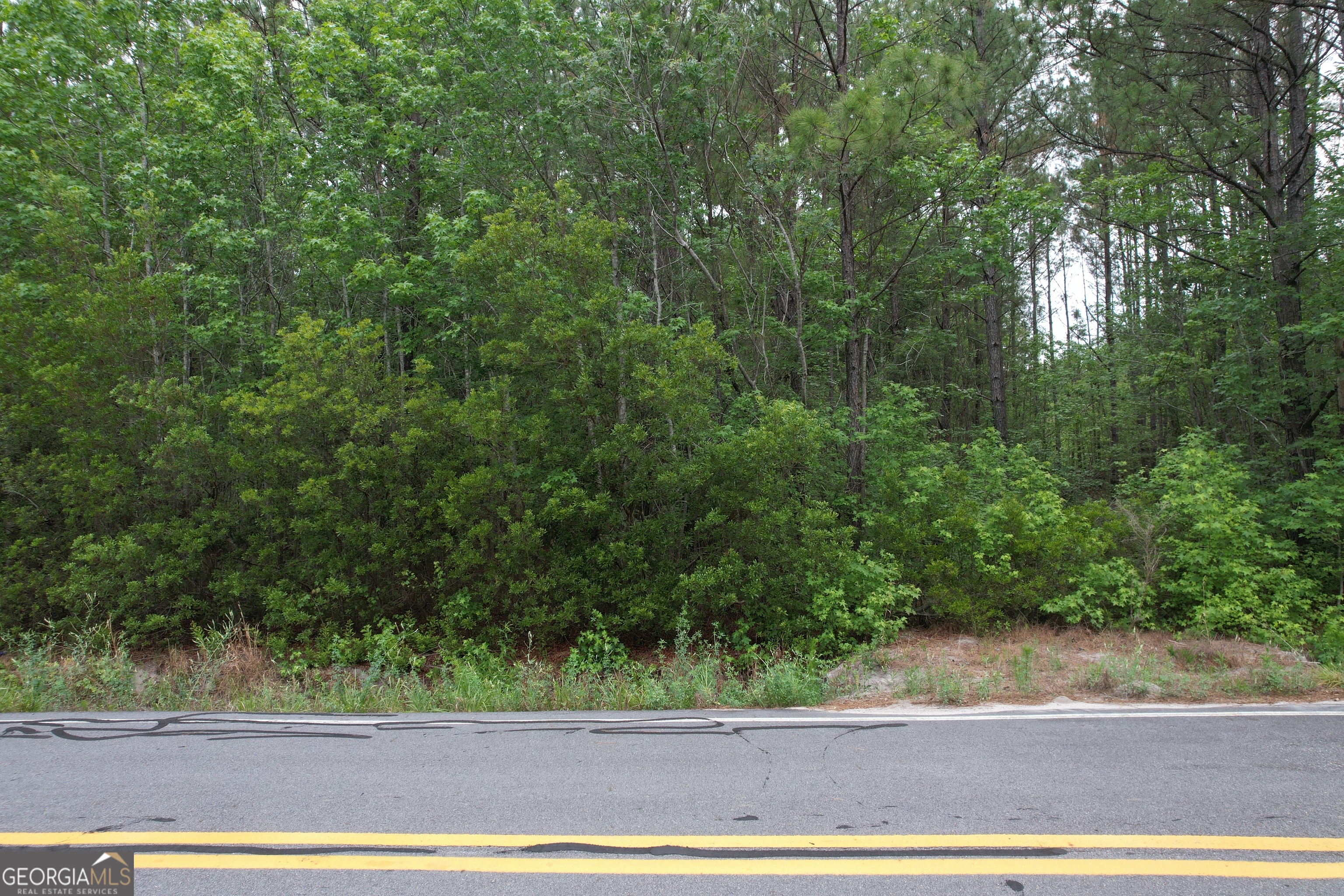 1.52 Acres Mt Pleasant Road Clyo GA 31303