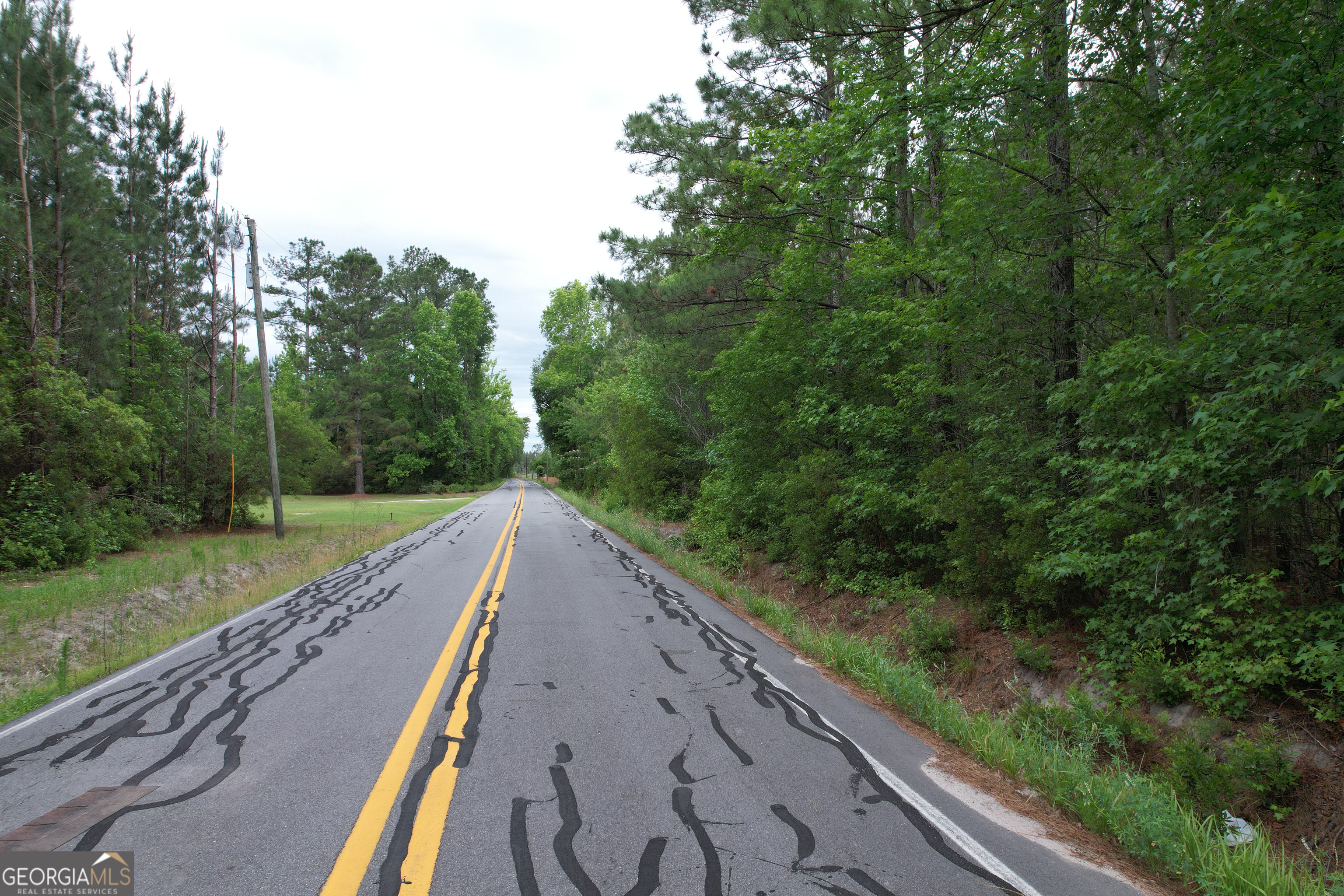 1.52 Acres Mt Pleasant Road Clyo GA 31303