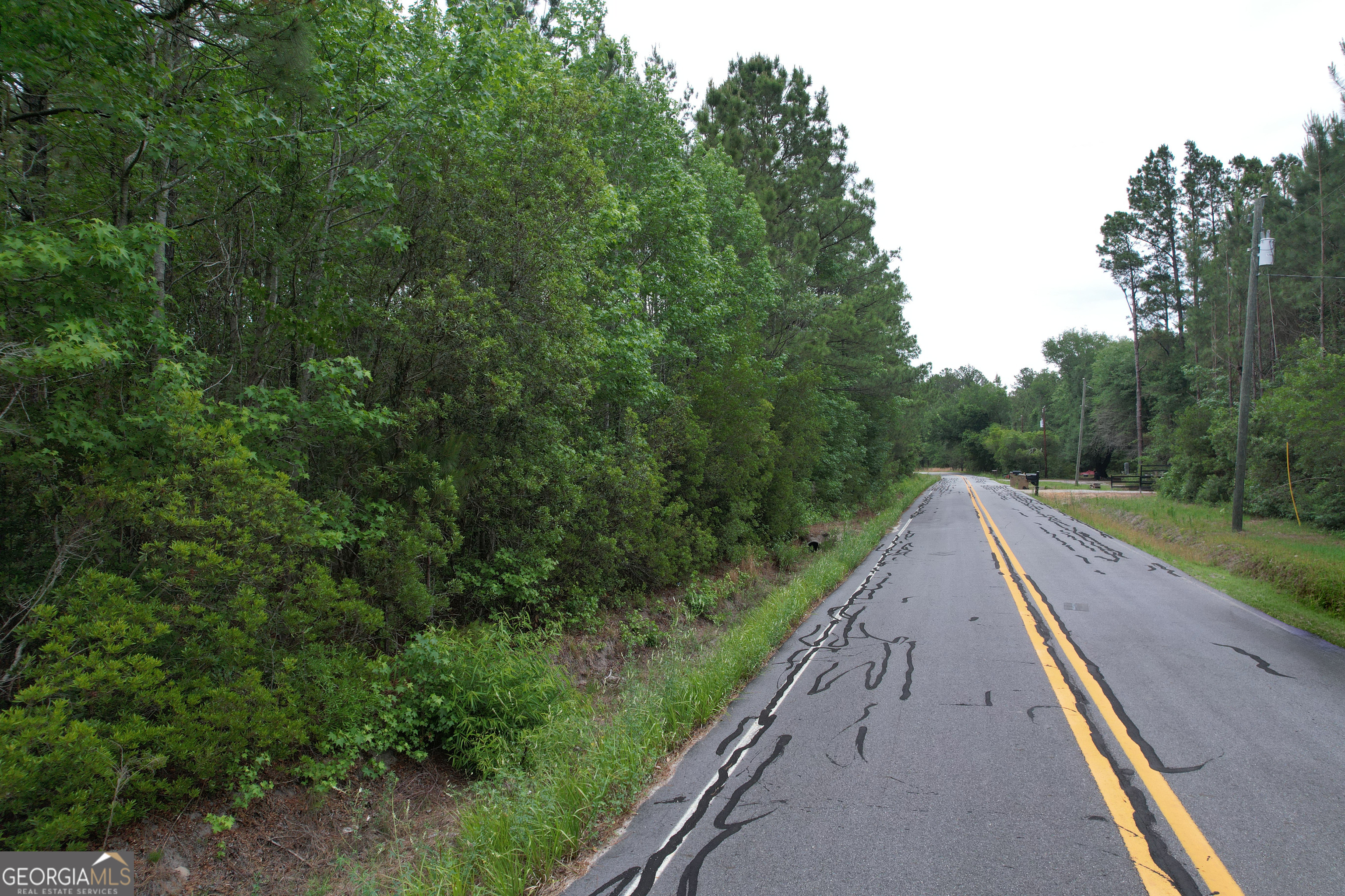 1.52 Acres Mt Pleasant Road Clyo GA 31303