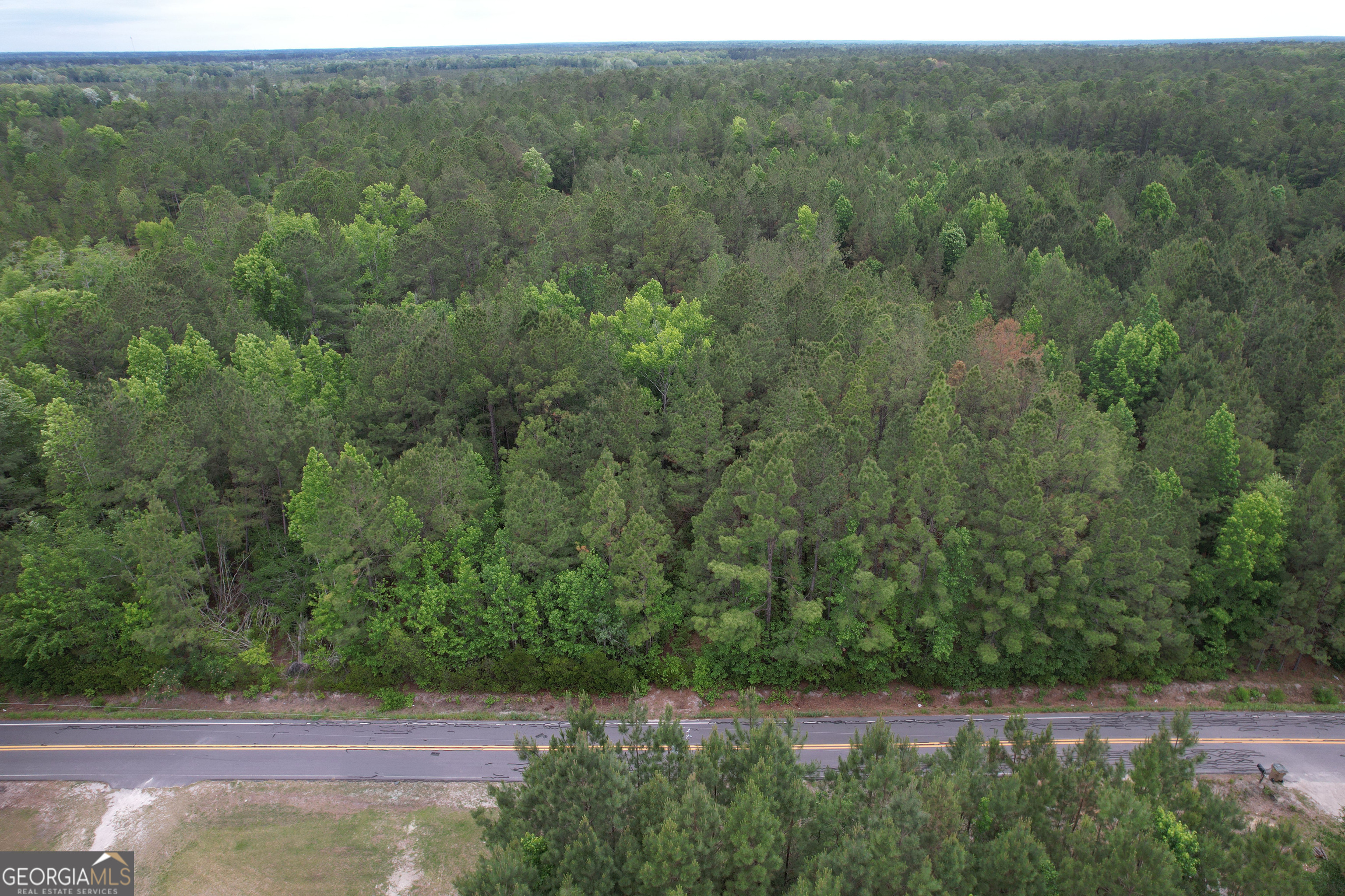 1.52 Acres Mt Pleasant Road Clyo GA 31303