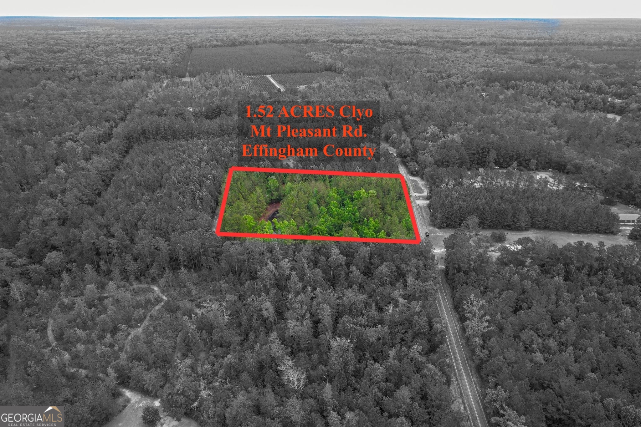 1.52 Acres Mt Pleasant Road Clyo GA 31303