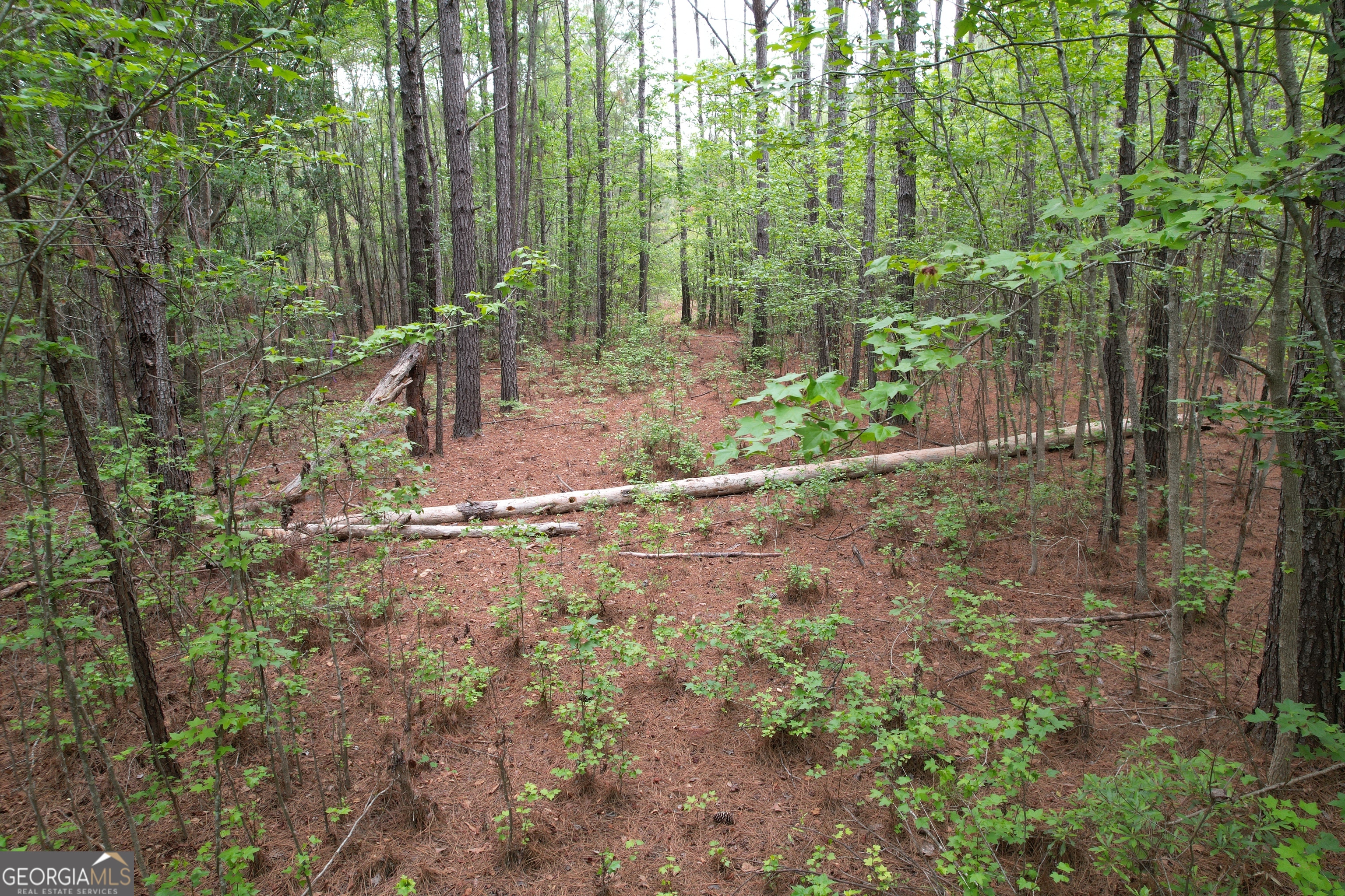1.52 Acres Mt Pleasant Road Clyo GA 31303