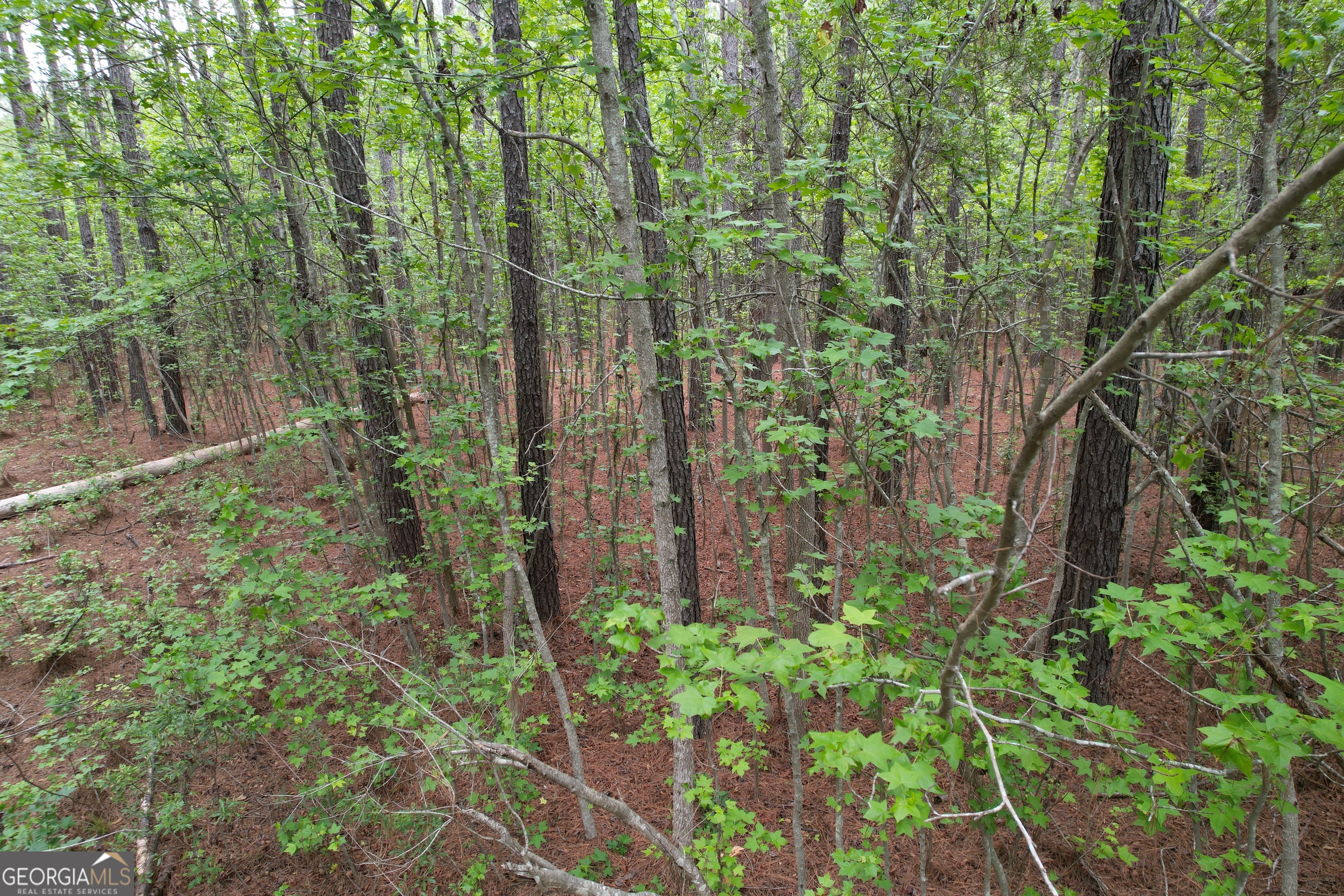1.52 Acres Mt Pleasant Road Clyo GA 31303