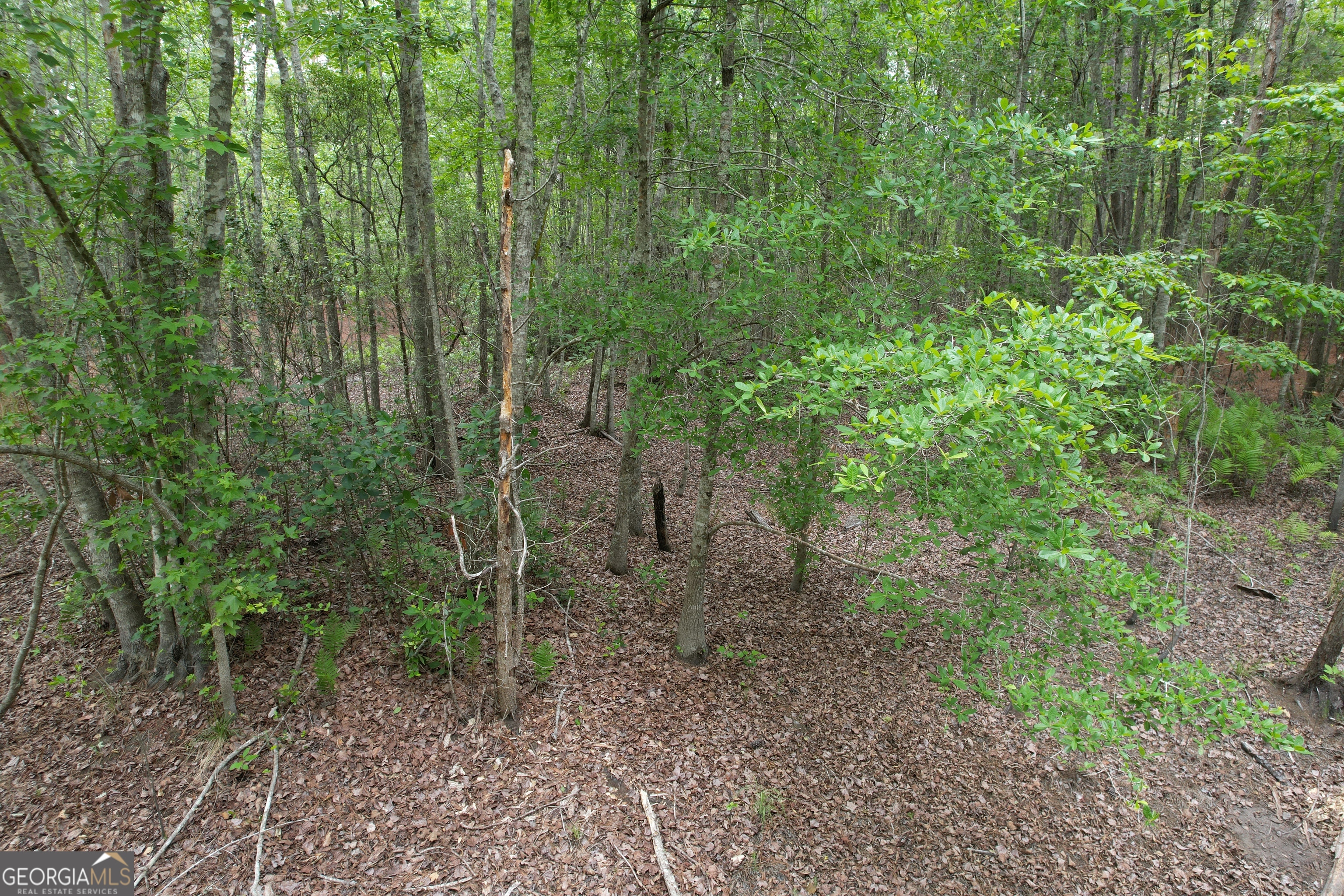 1.52 Acres Mt Pleasant Road Clyo GA 31303