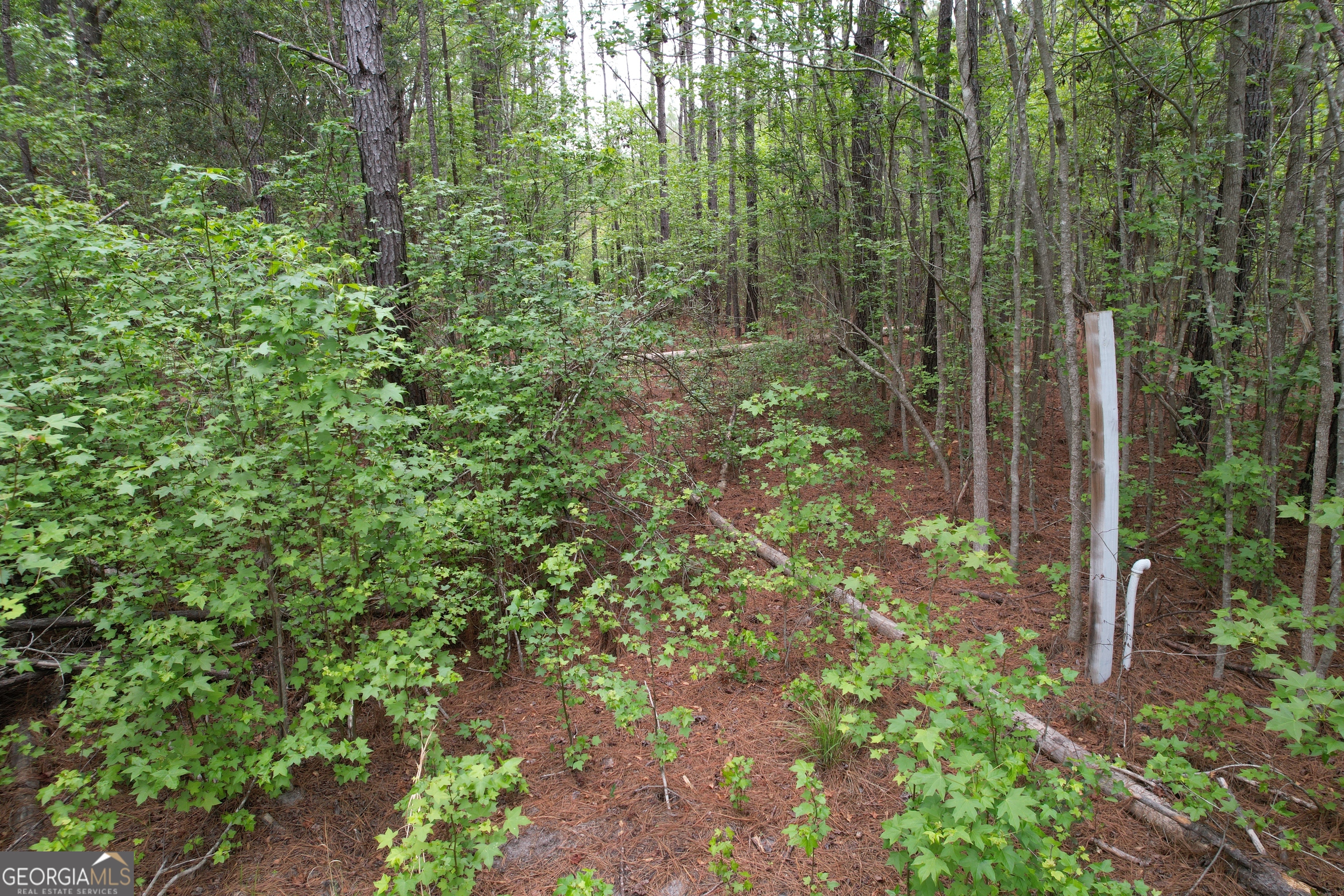 1.52 Acres Mt Pleasant Road Clyo GA 31303