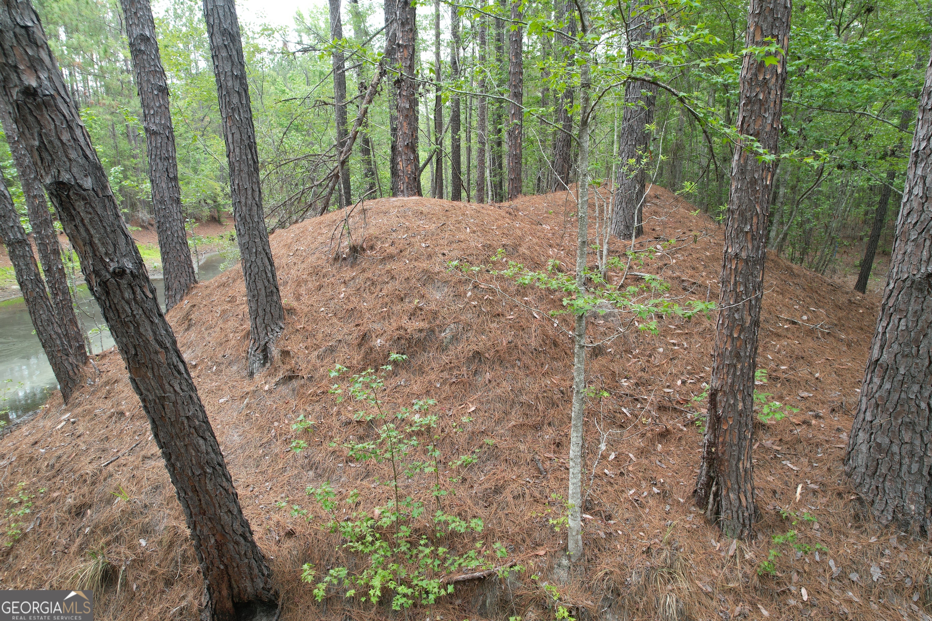 1.52 Acres Mt Pleasant Road Clyo GA 31303