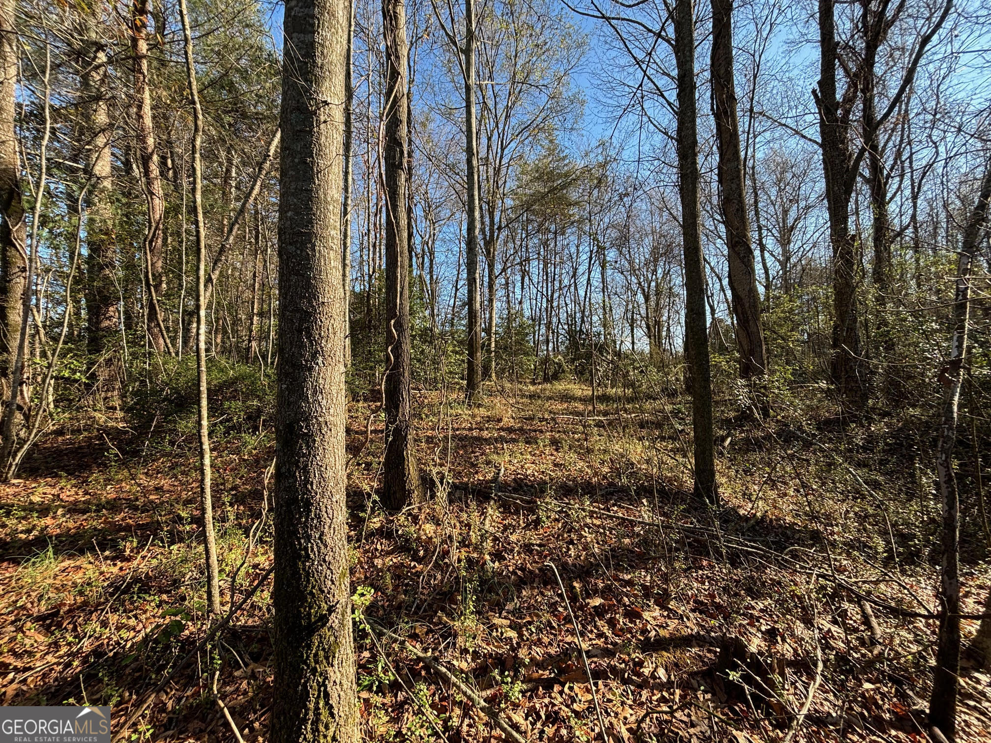 0 W Kytle Street Cleveland GA 30528
