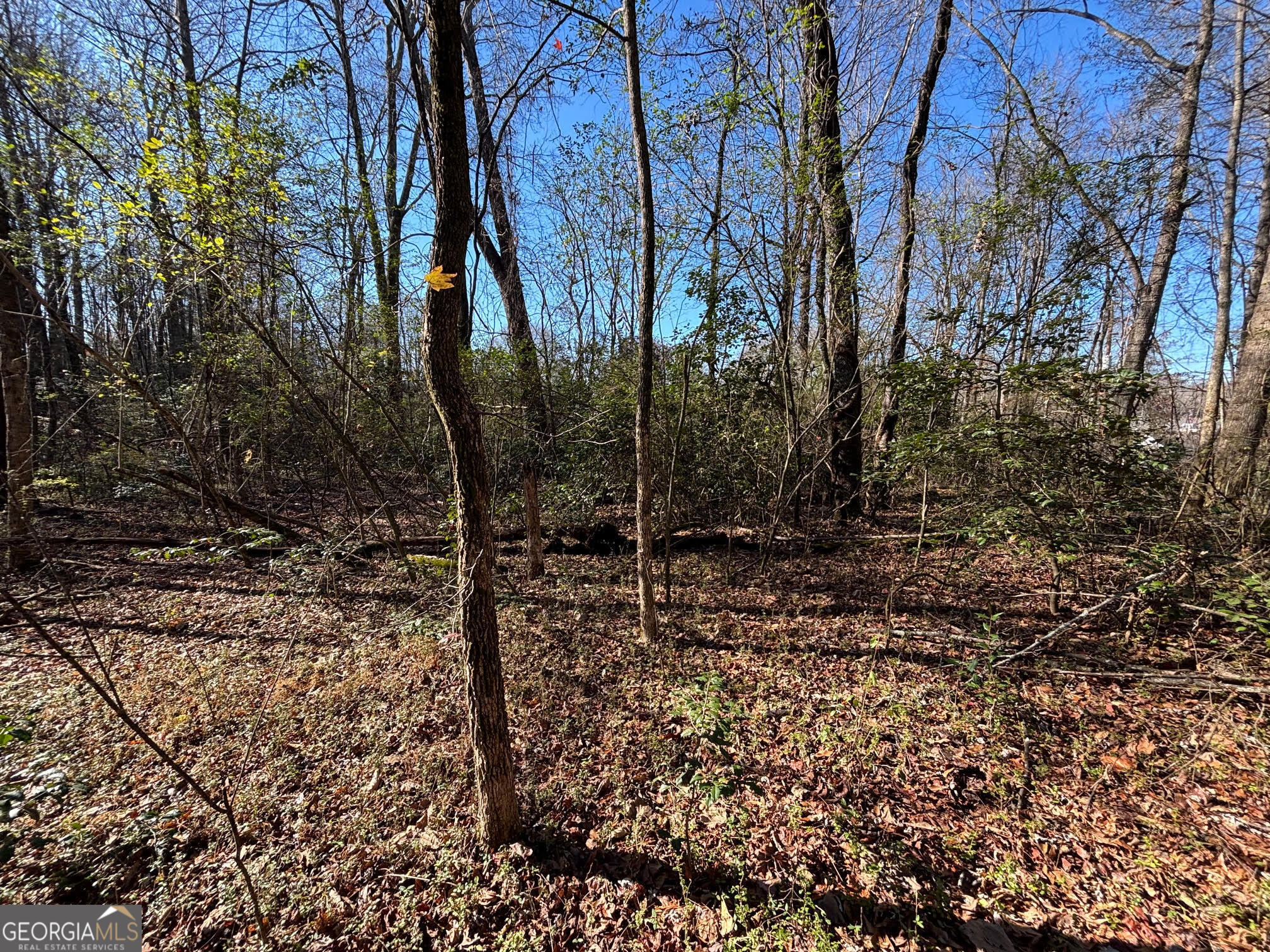 0 W Kytle Street Cleveland GA 30528
