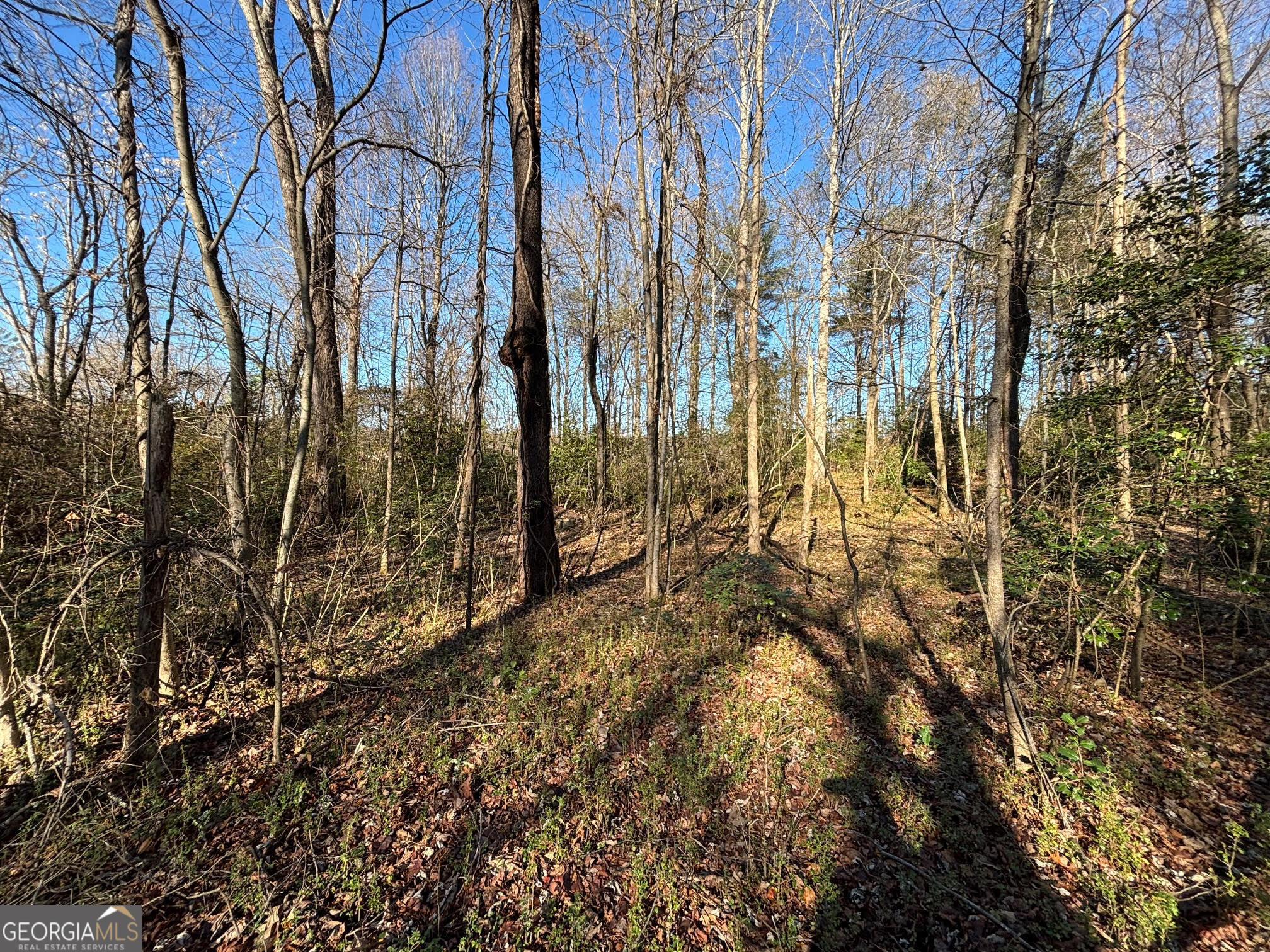 0 W Kytle Street Cleveland GA 30528
