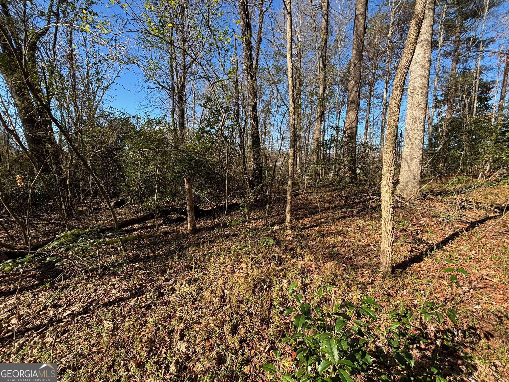 0 W Kytle Street Cleveland GA 30528