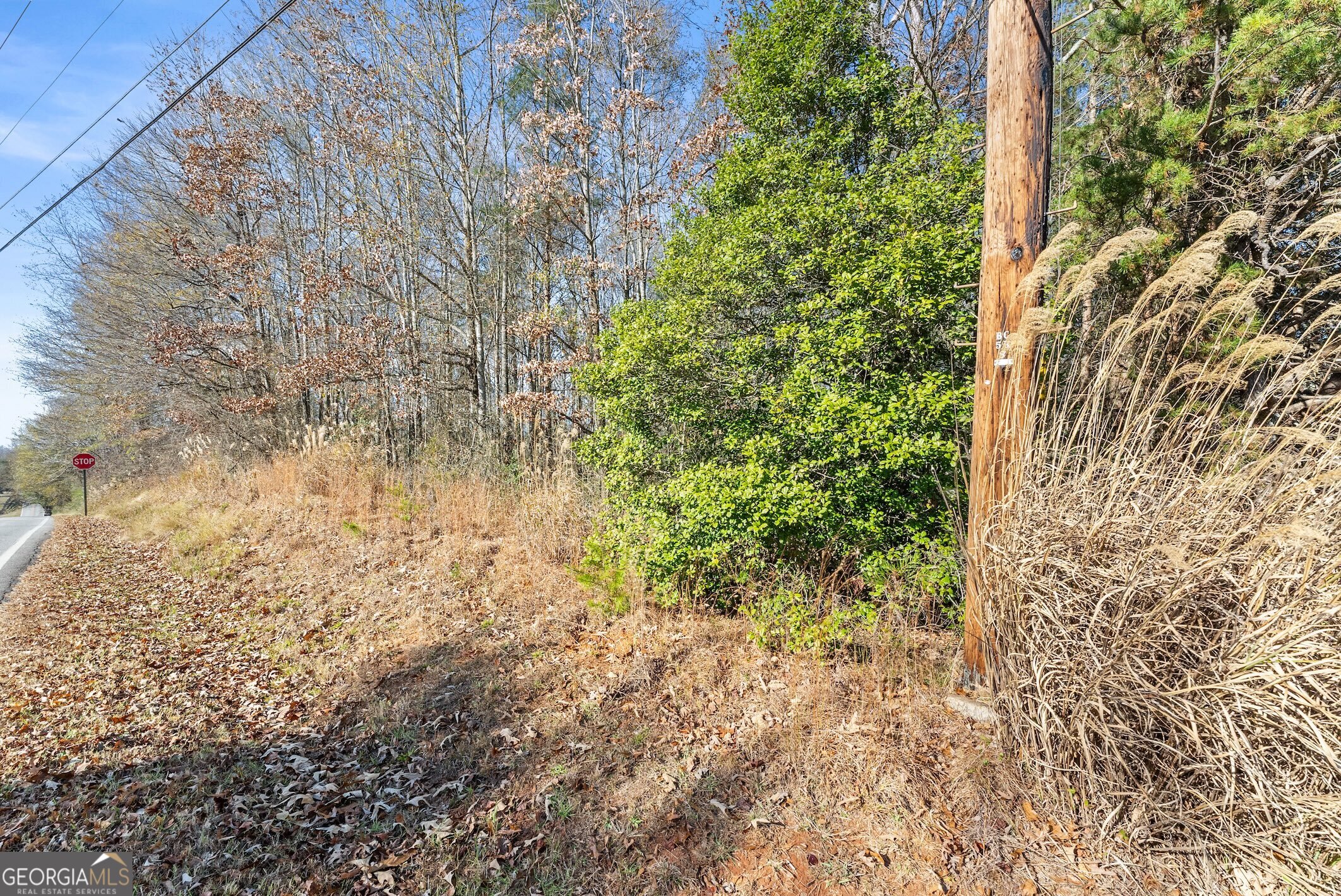 0 W Kytle Street Cleveland GA 30528