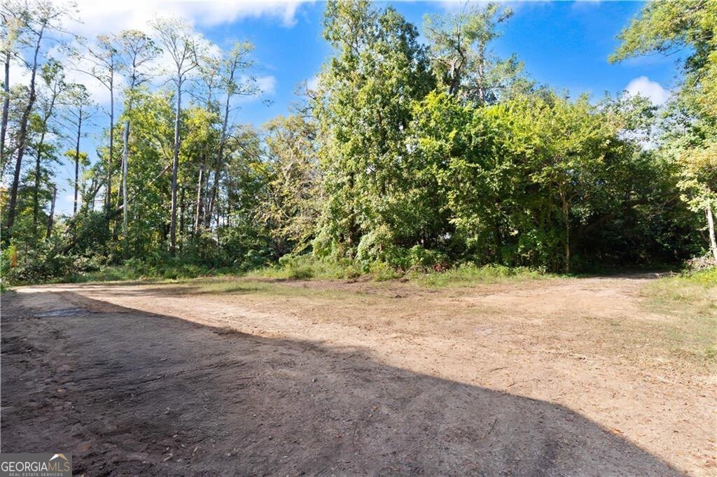108 Rosa Dorsey Lane St. Simons Island GA 31522