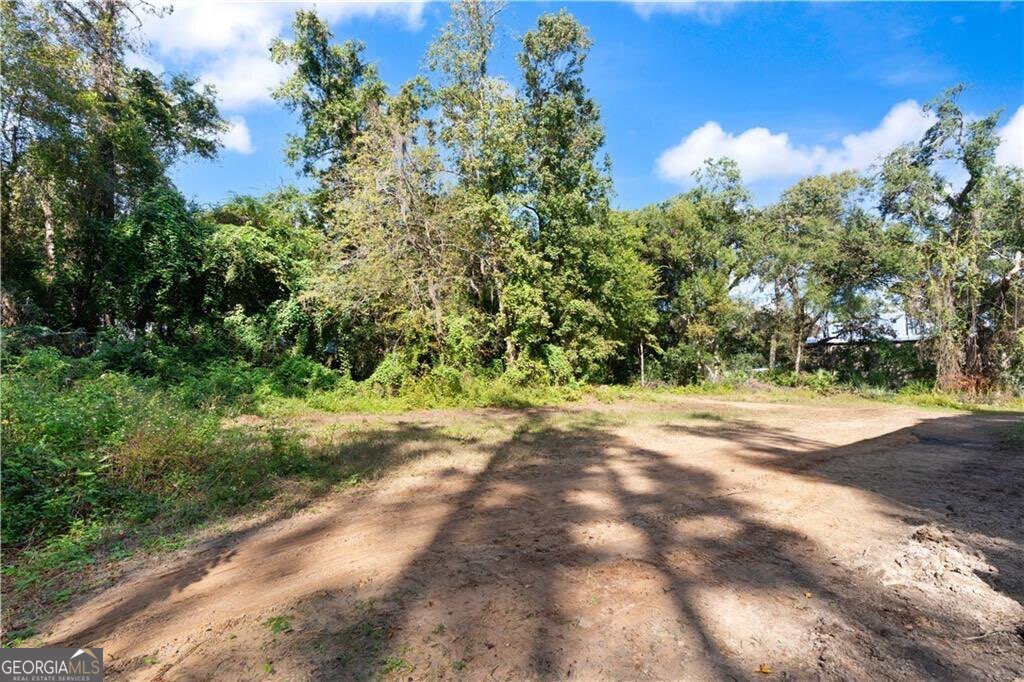 108 Rosa Dorsey Lane St. Simons Island GA 31522