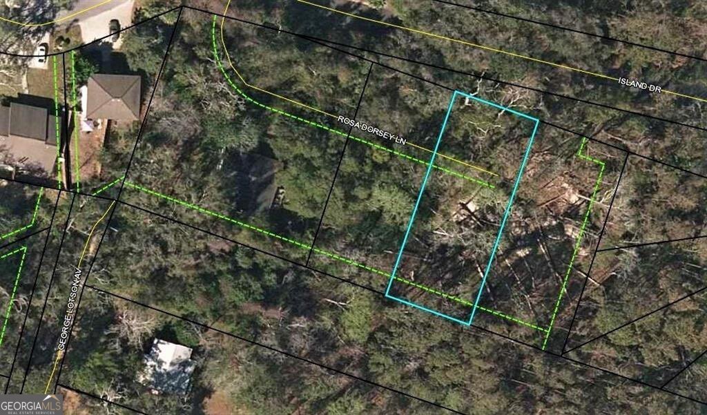 108 Rosa Dorsey Lane St. Simons Island GA 31522