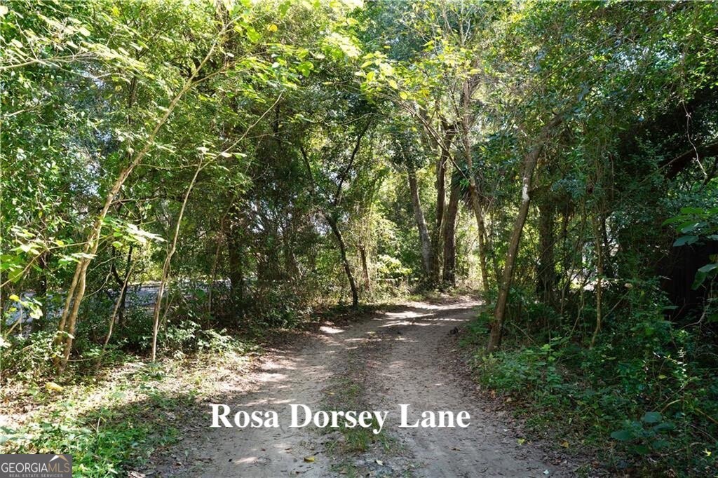 108 Rosa Dorsey Lane St. Simons Island GA 31522