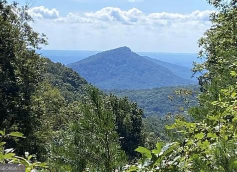 Lot 242 Andes Ridge Jasper GA 30143
