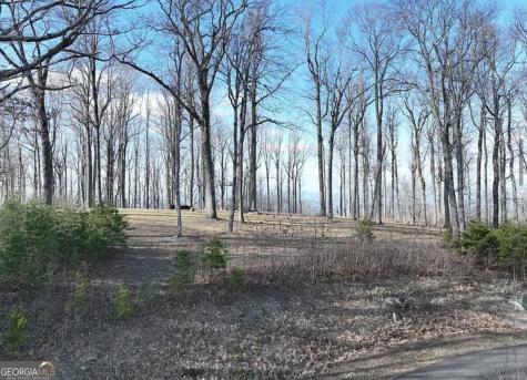 Lot 242 Andes Ridge Jasper GA 30143