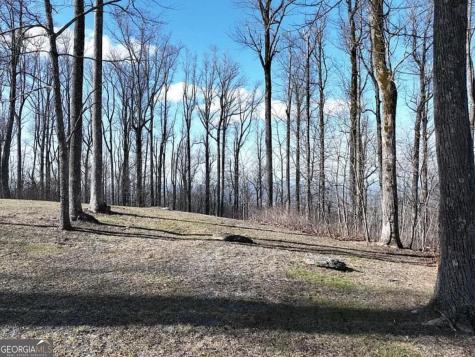 Lot 242 Andes Ridge Jasper GA 30143