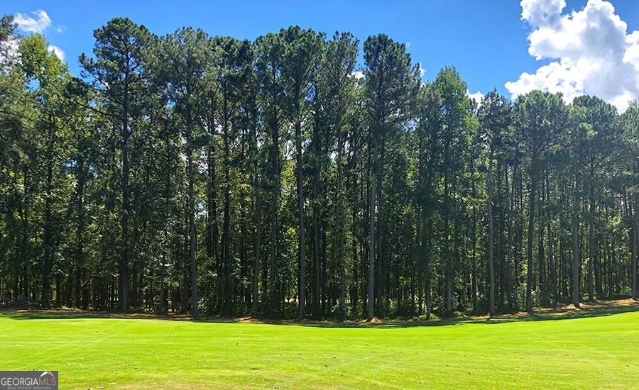 1580 Club Drive Greensboro GA 30642