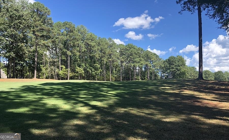 1580 Club Drive Greensboro GA 30642