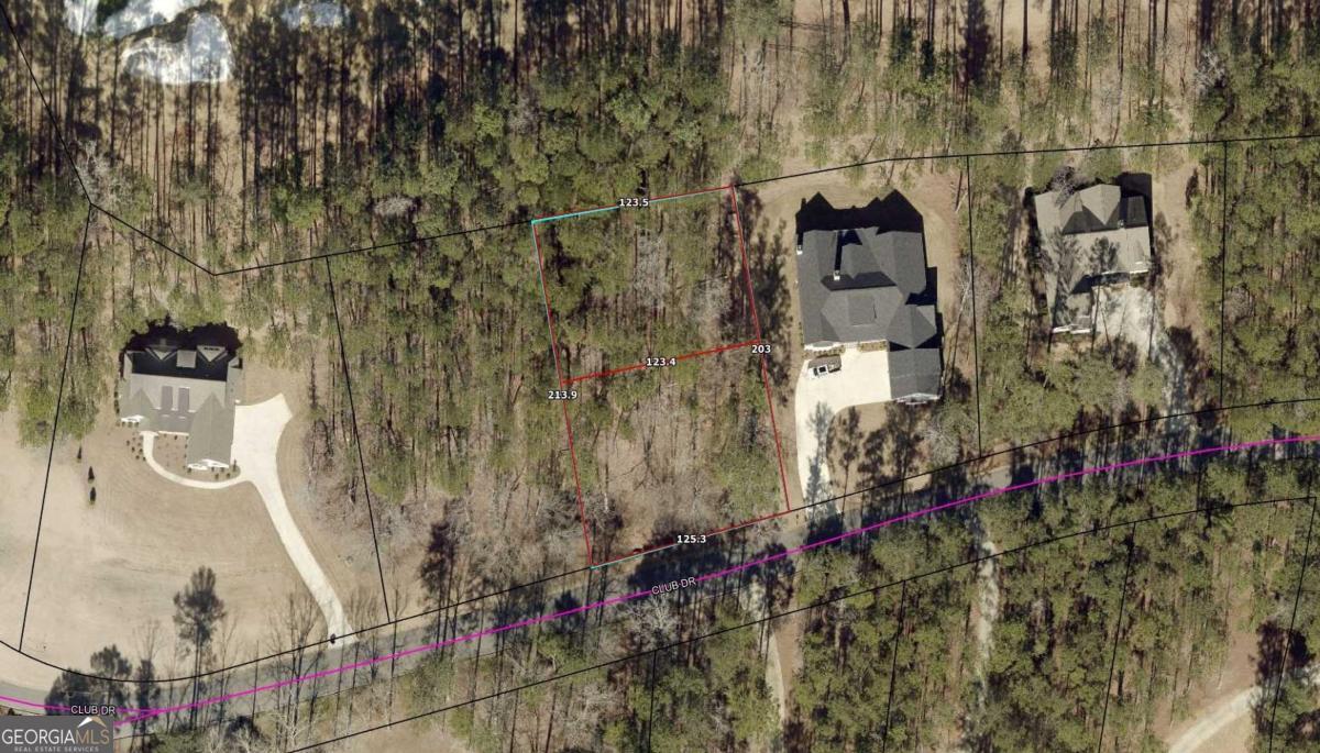 1580 Club Drive Greensboro GA 30642
